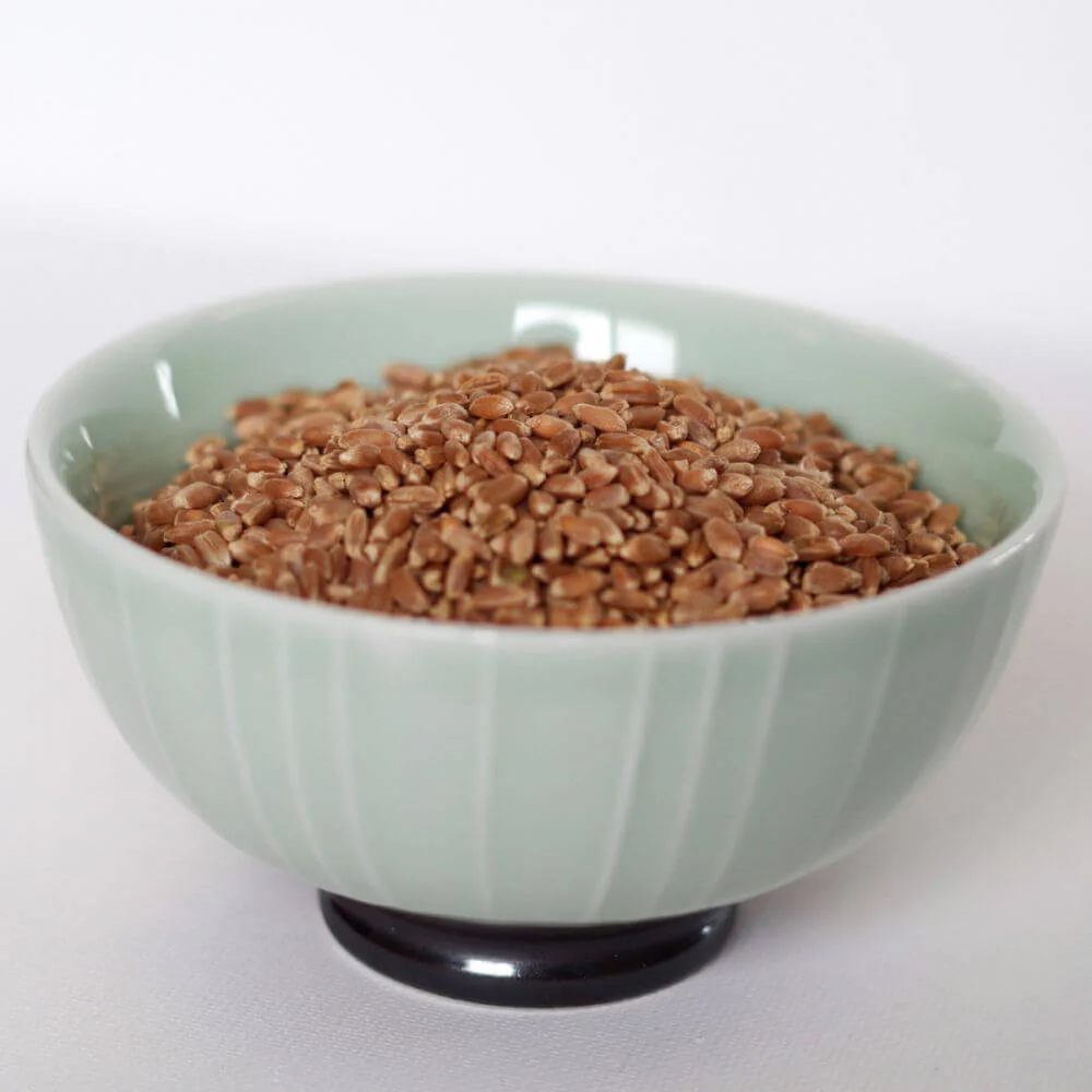 Rainy Day Foods - Hard Red Wheat 5 Gallon Pail - 36 lb. - Image 3