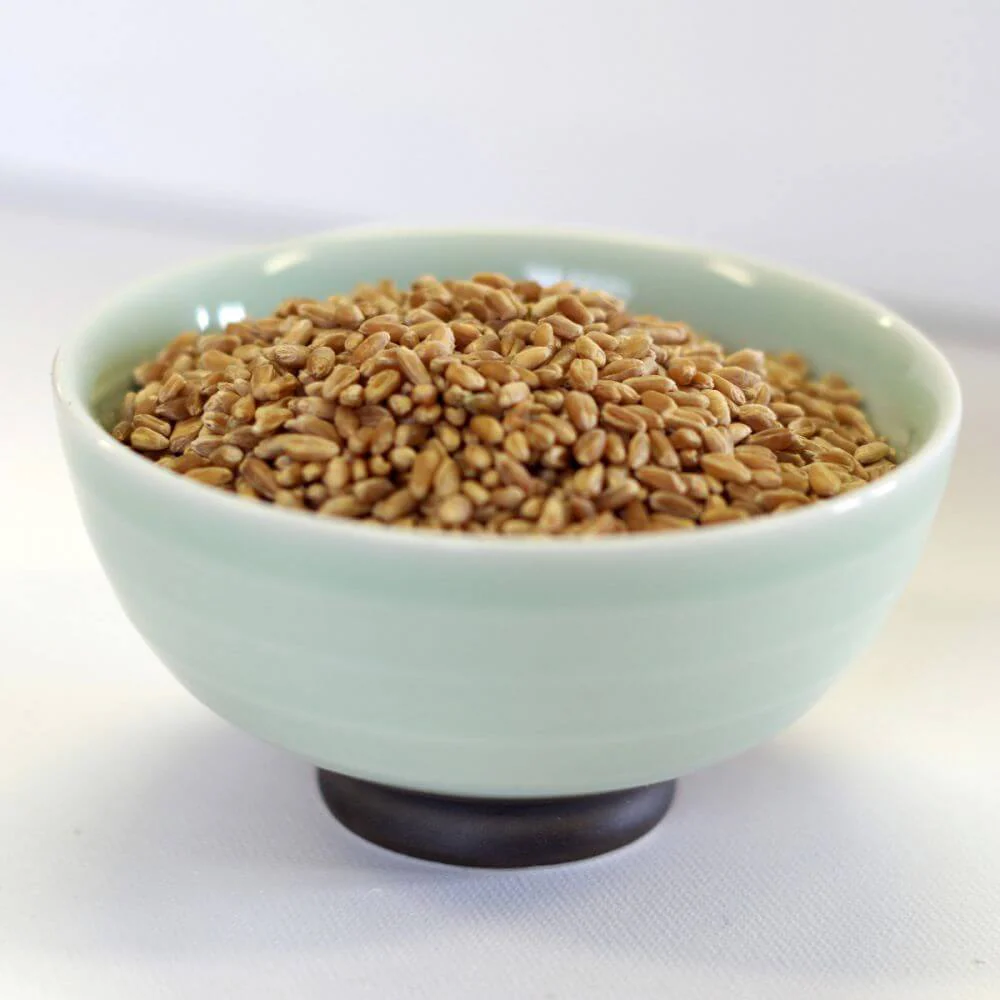 Rainy Day Foods Hard Red Wheat Natural Paper 50 lb. Bag - 228 Servings