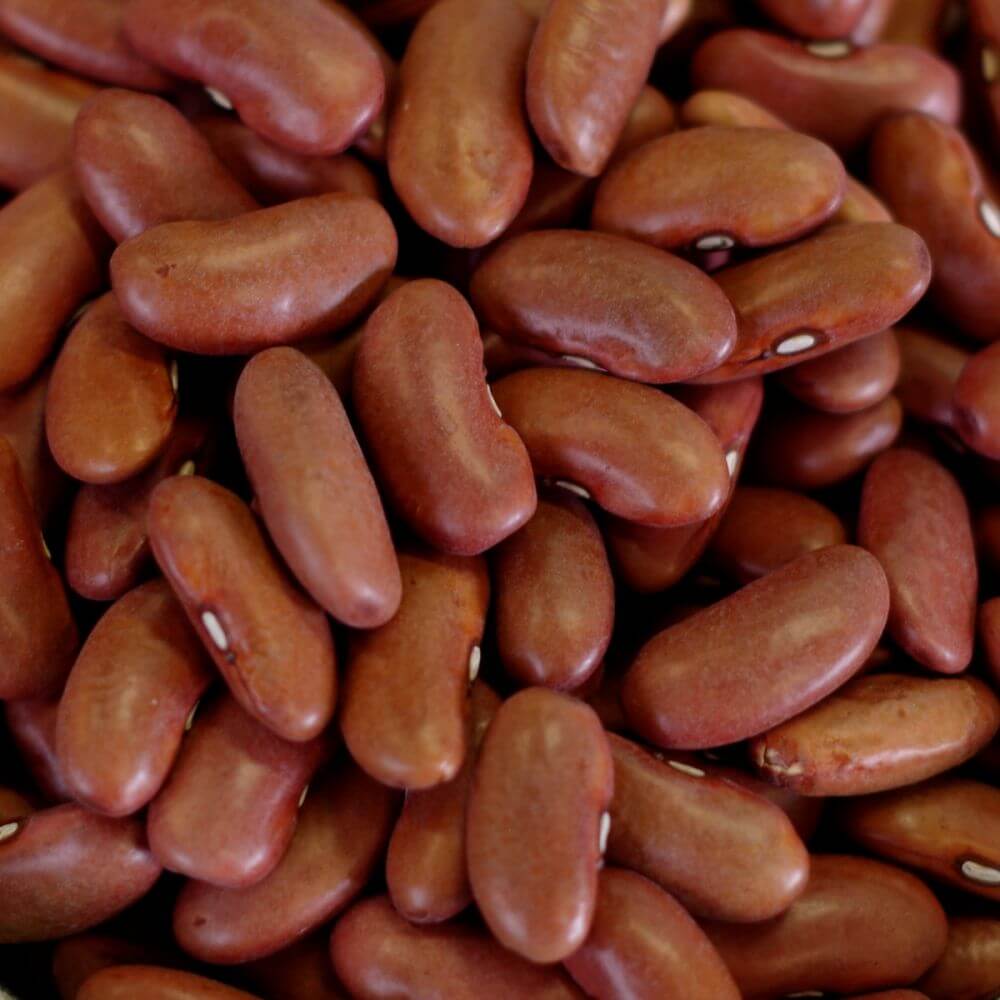 Rainy Day Foods Kidney Beans #10 Cans - 6 Pack - Image 2