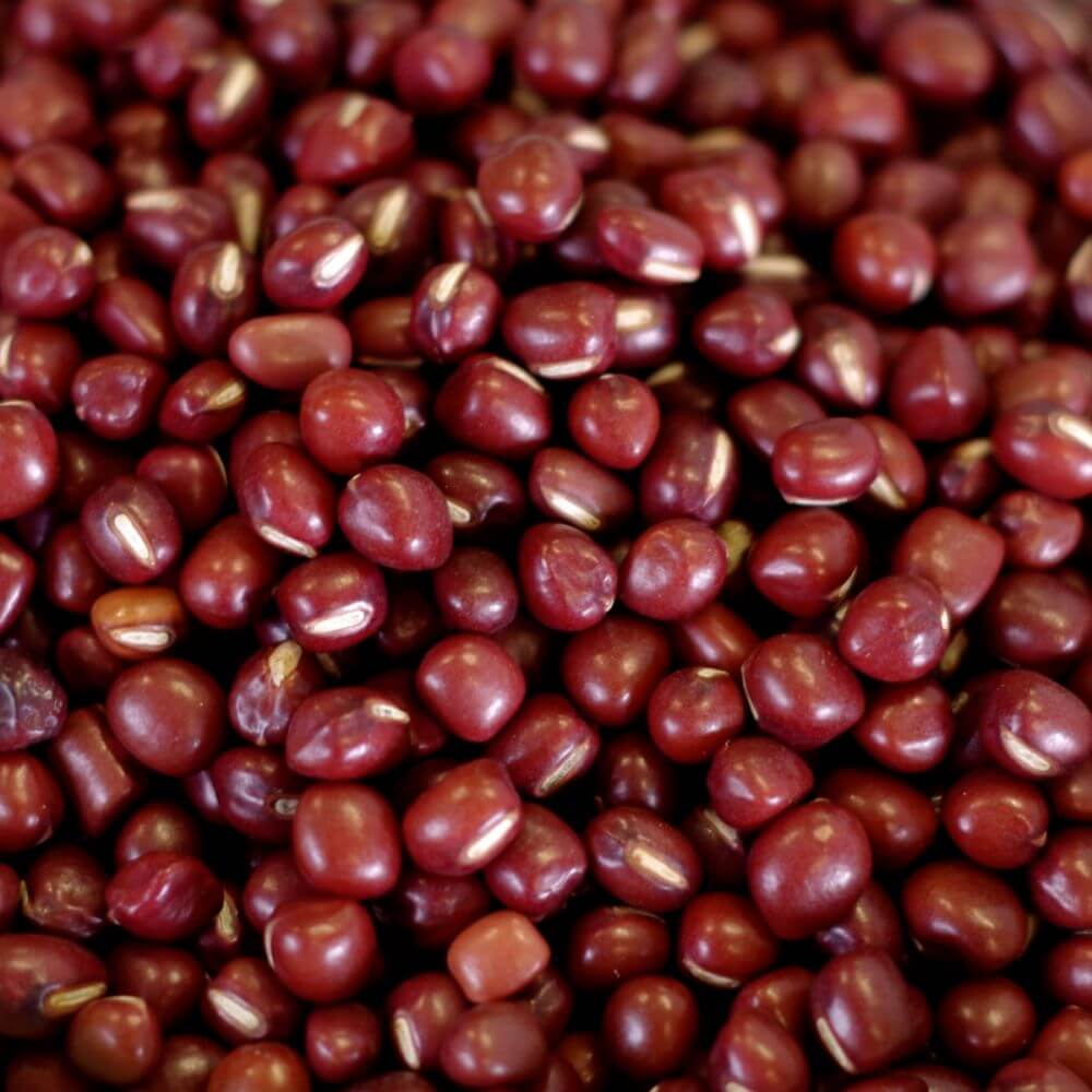 Rainy Day Foods Non-GMO Adzuki Beans Natural 84 oz. #10 Can - 24 Servings - Image 2