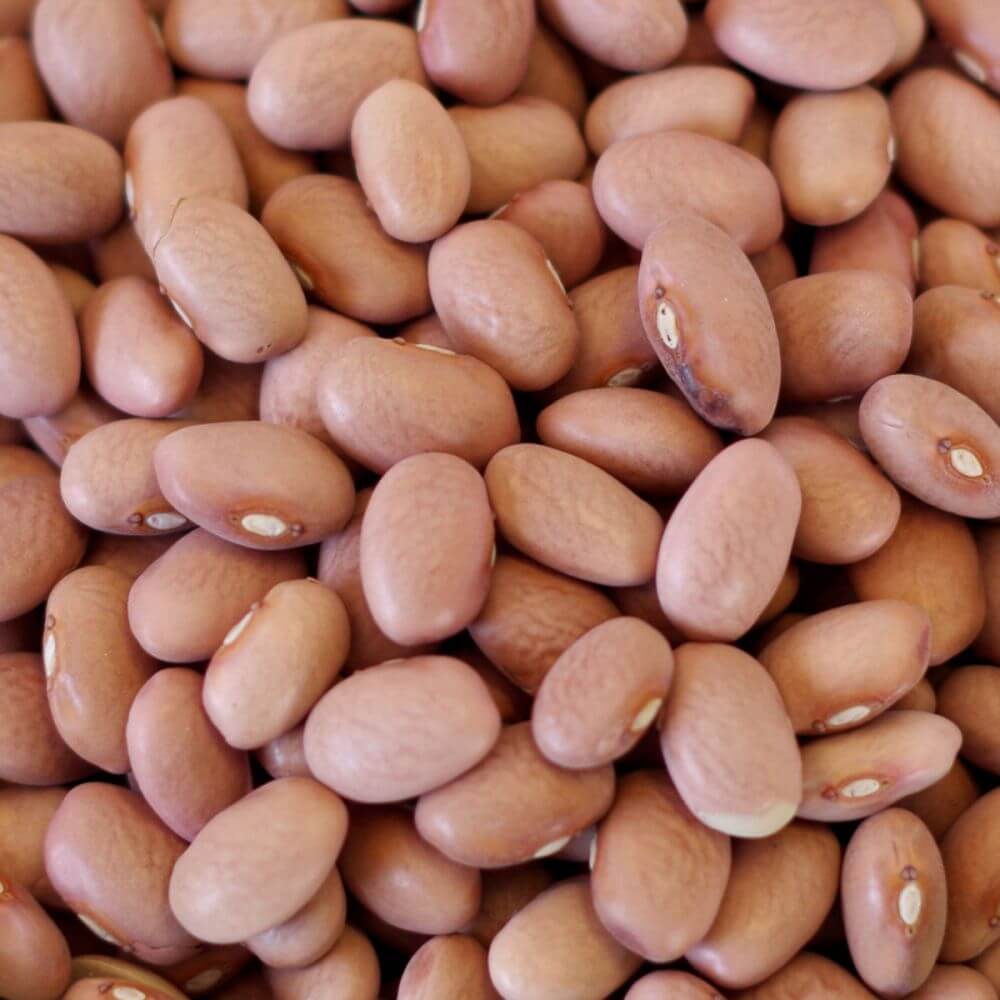 Rainy Day Foods Pink Beans 5 Gallon 34 lb. Super Pail - 146 Servings - Image 3