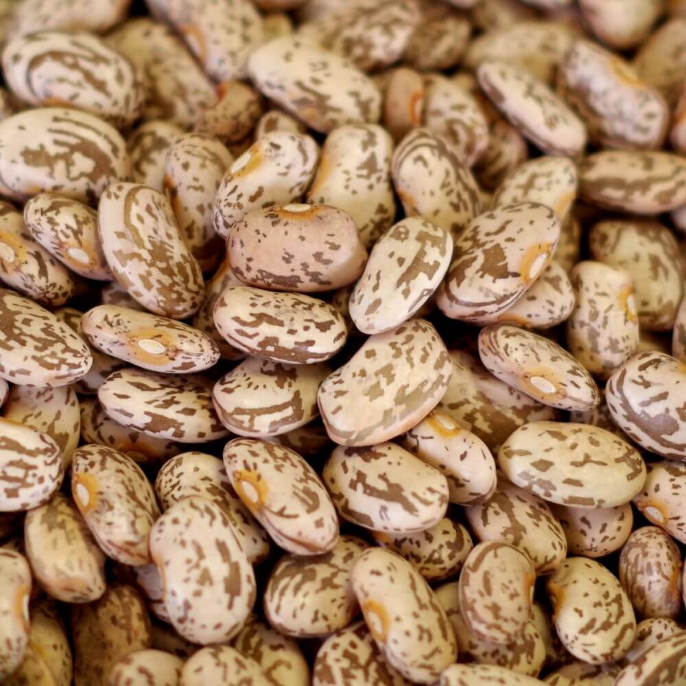 Rainy Day Foods - Pinto Beans Natural 5 Gallon 34 lb. Super Pail - Image 3