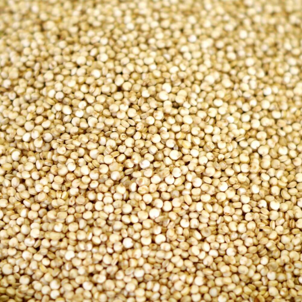 Rainy Day Foods Non-GMO Quinoa Natural 25 lb. Bag - 133 Servings