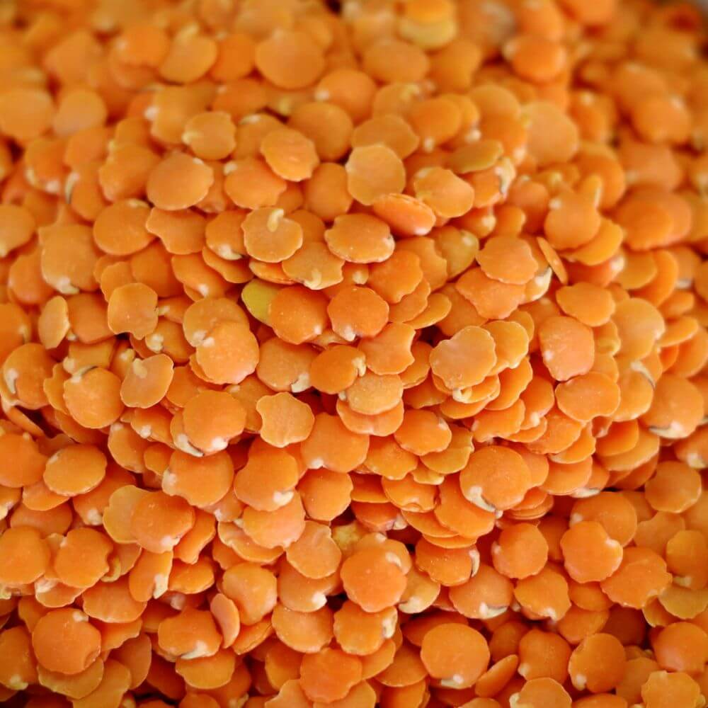 Rainy Day Foods Red Lentils 25 lb. Bag - 118 Servings - Image 2
