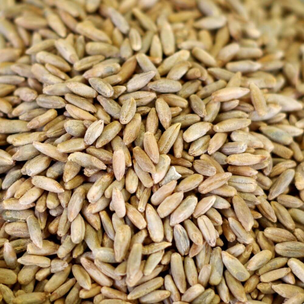 Rainy Day Foods Rye 5 Gallon 35 lb. Super Pail - 189 Servings - Image 2