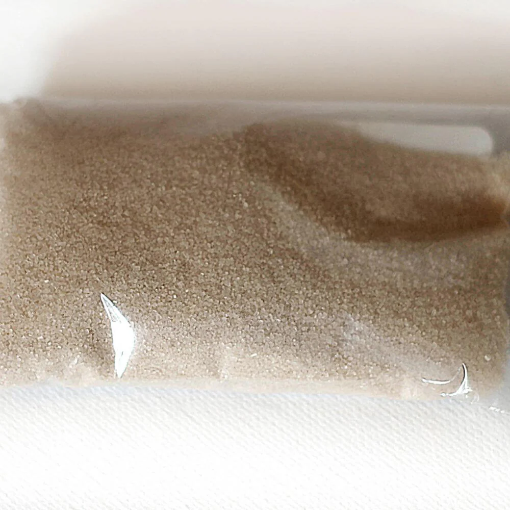 Rainy Day Foods Dehydrated Sample Pack 32 oz. #10 Can - Image 11