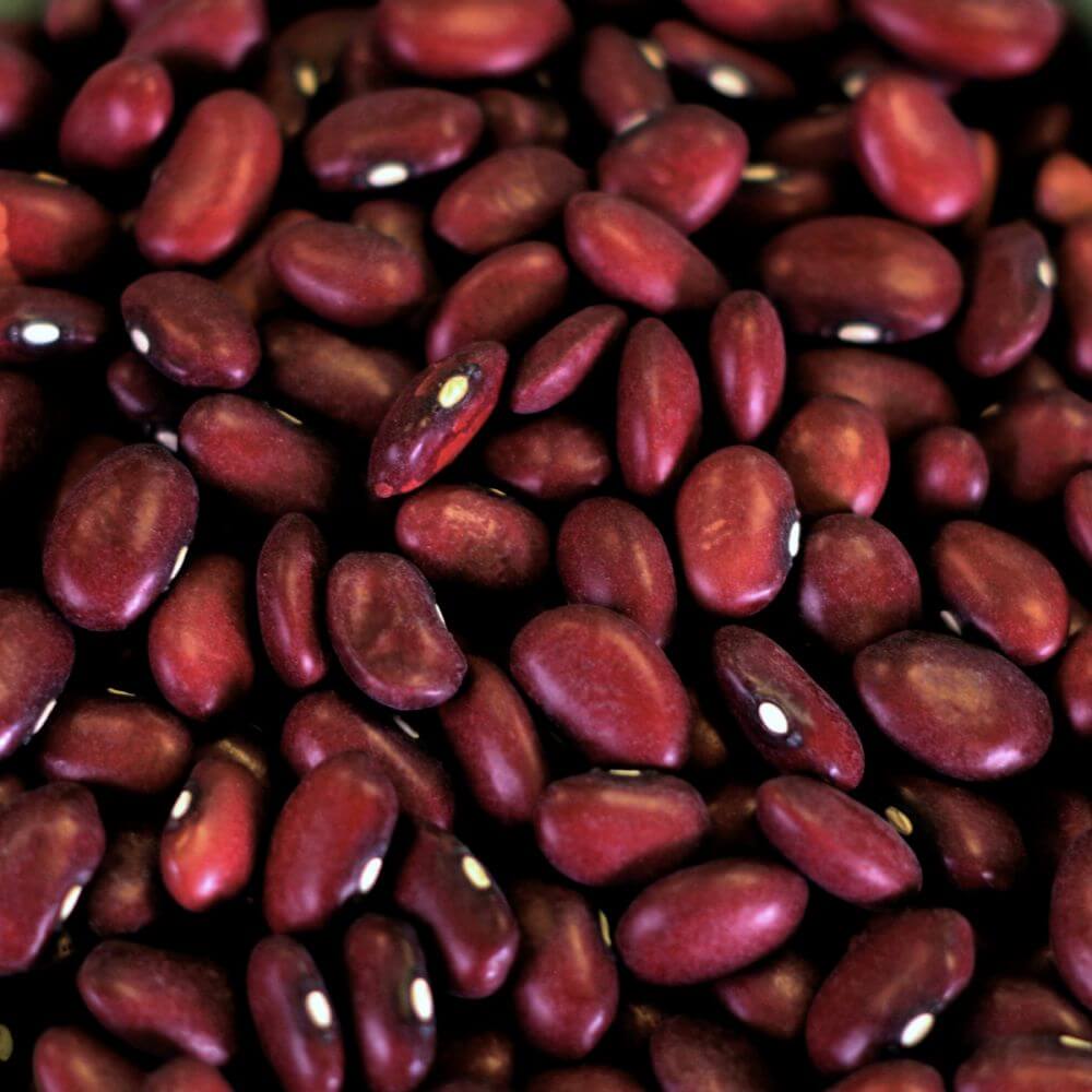 Rainy Day Foods Small Red Beans 5 Gallon 34 lb. Super Pail - 154 Servings - Image 2