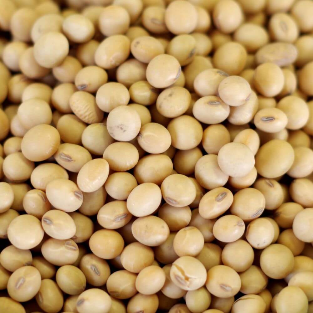 Rainy Day Foods Soy Beans Natural 25 lb. Bag - 183 Servings