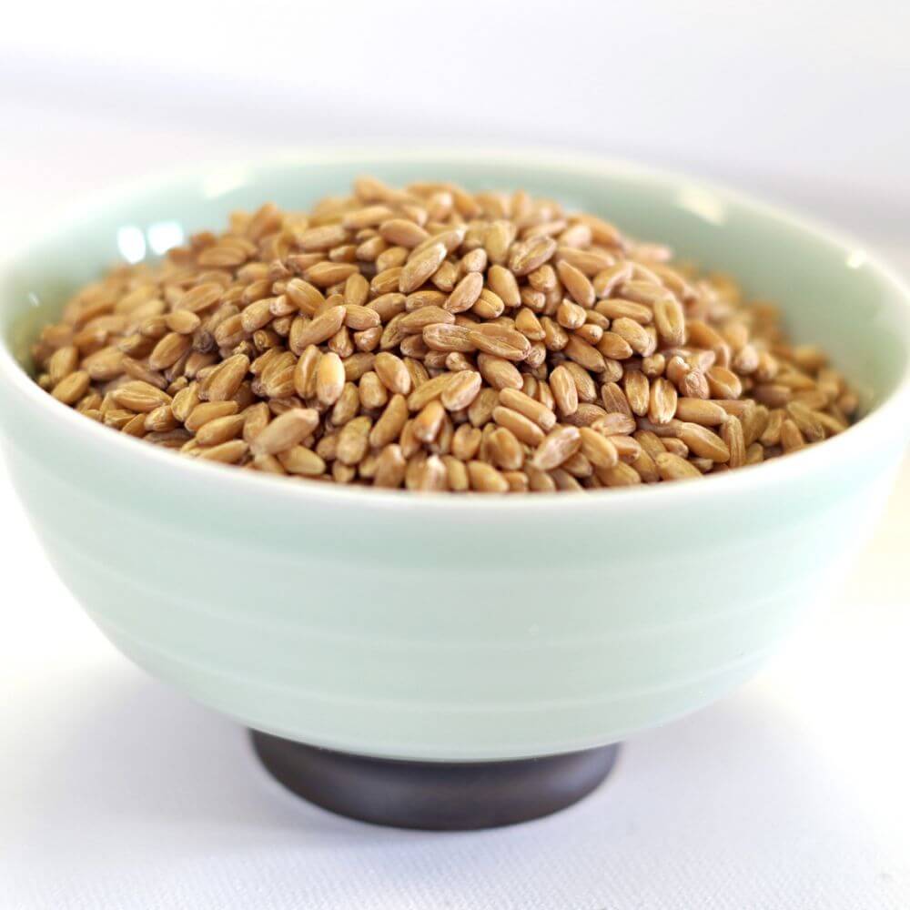 Rainy Day Foods Spelt Natural 25 lb. Bag - 241 Servings - Image 2