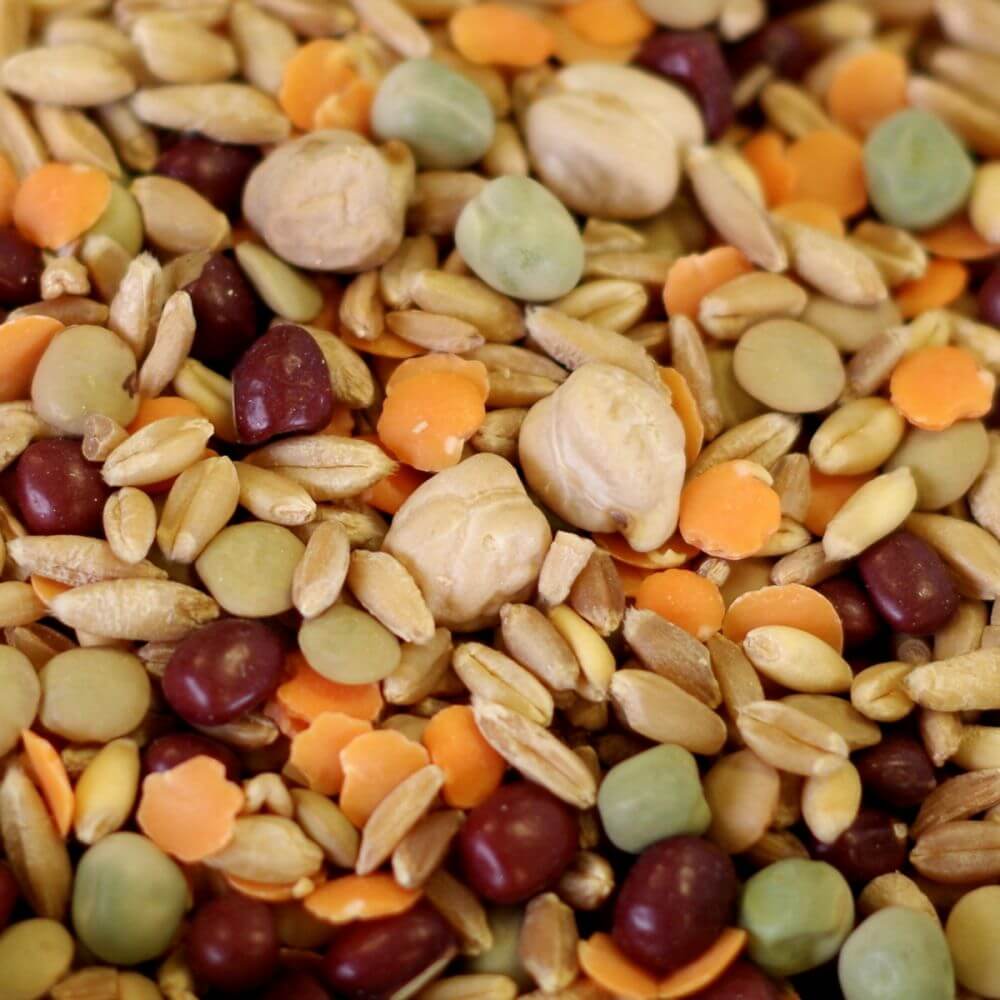 Rainy Day Foods Sprout Seed Mix 1.5 lb. Mylar Bag