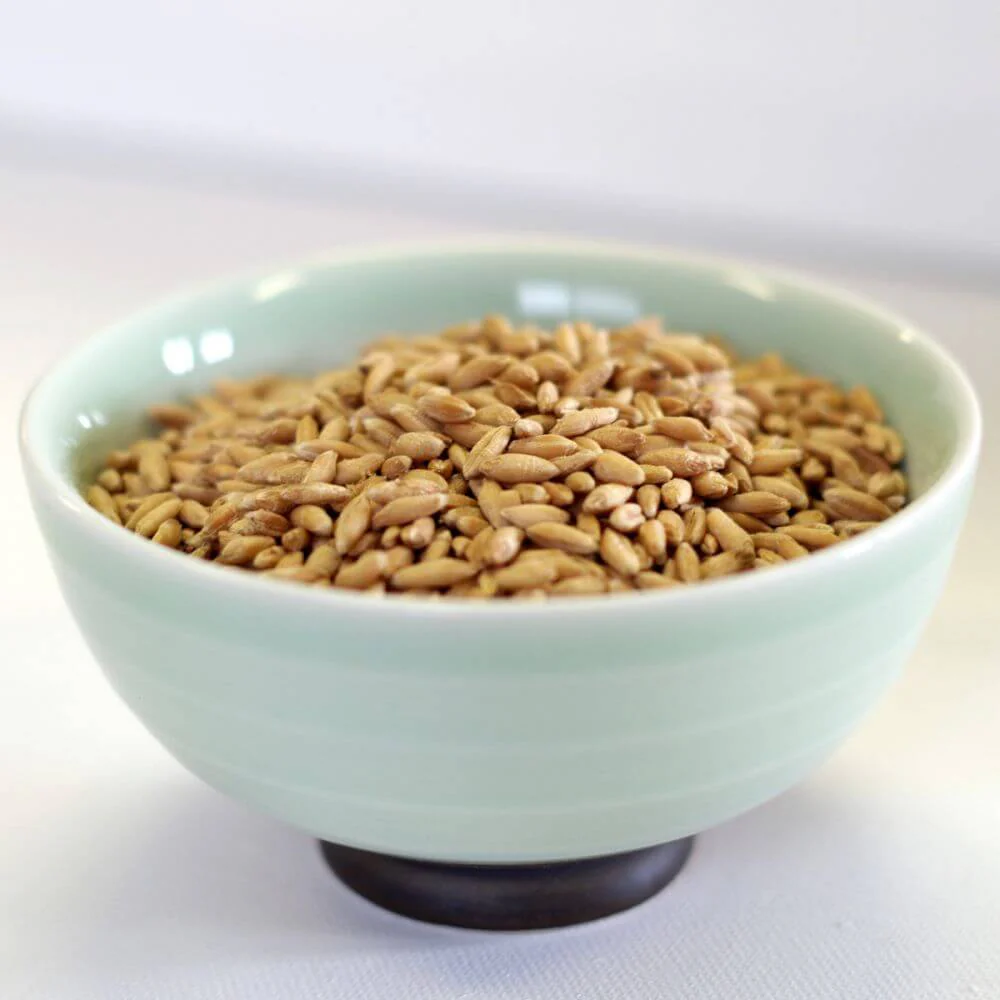 Rainy Day Foods Triticale 5 Gallon 33 lb. Super Pail - 156 Servings - Image 3