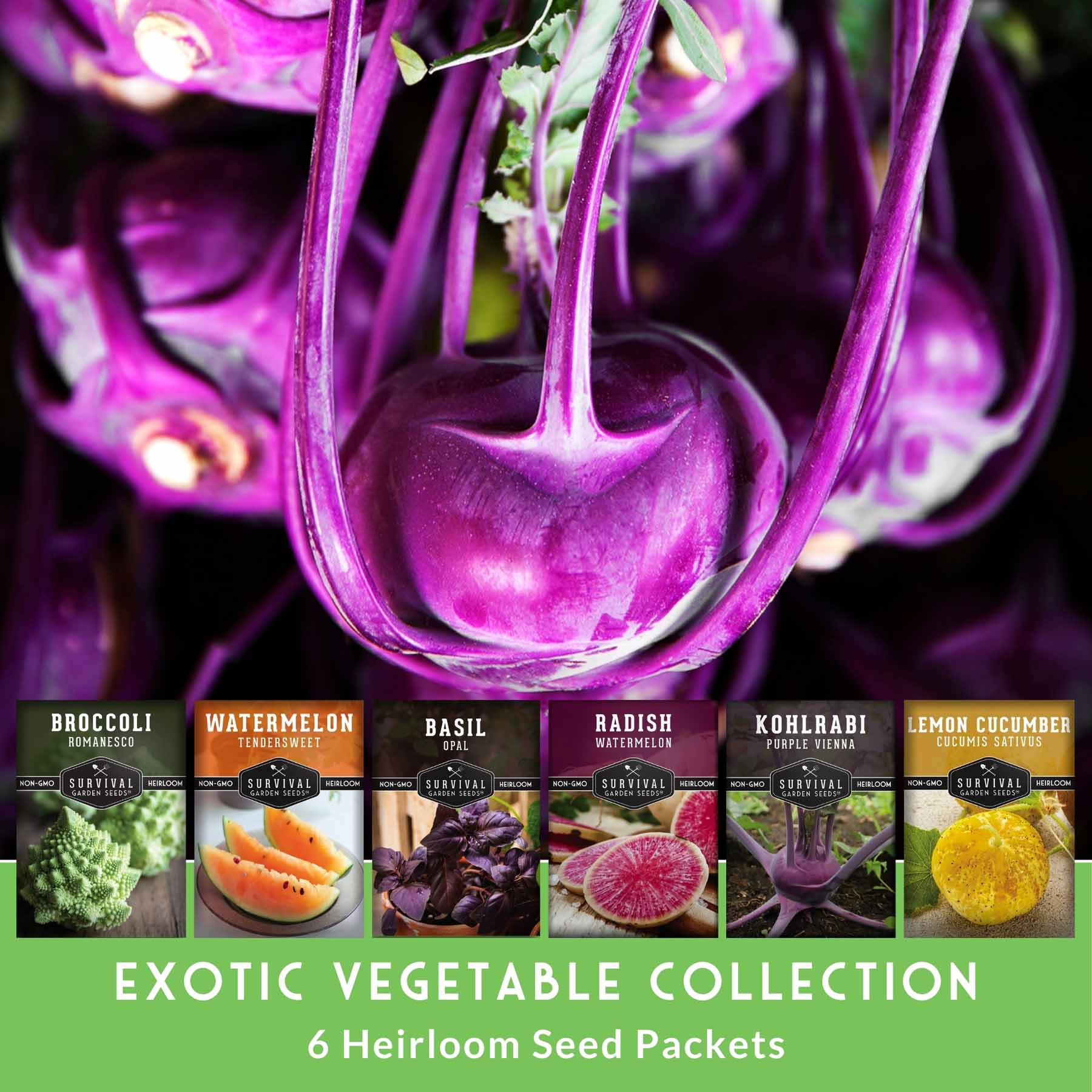 Rare Exotic Vegetable Seed Collection - Grow Something Unique in Your Garden - Image 2