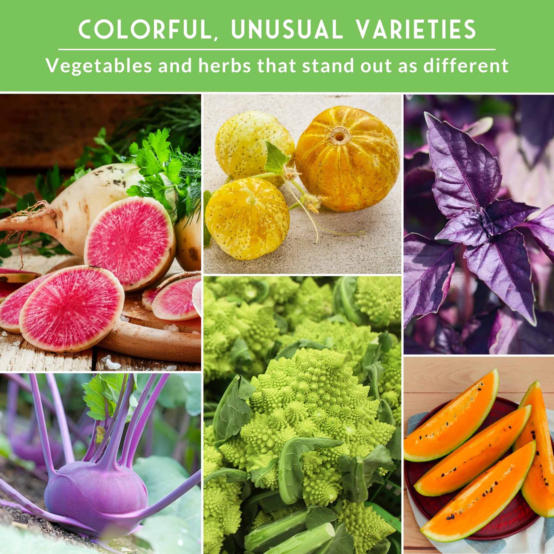 Rare Exotic Vegetable Seed Collection - Grow Something Unique in Your Garden - Image 4