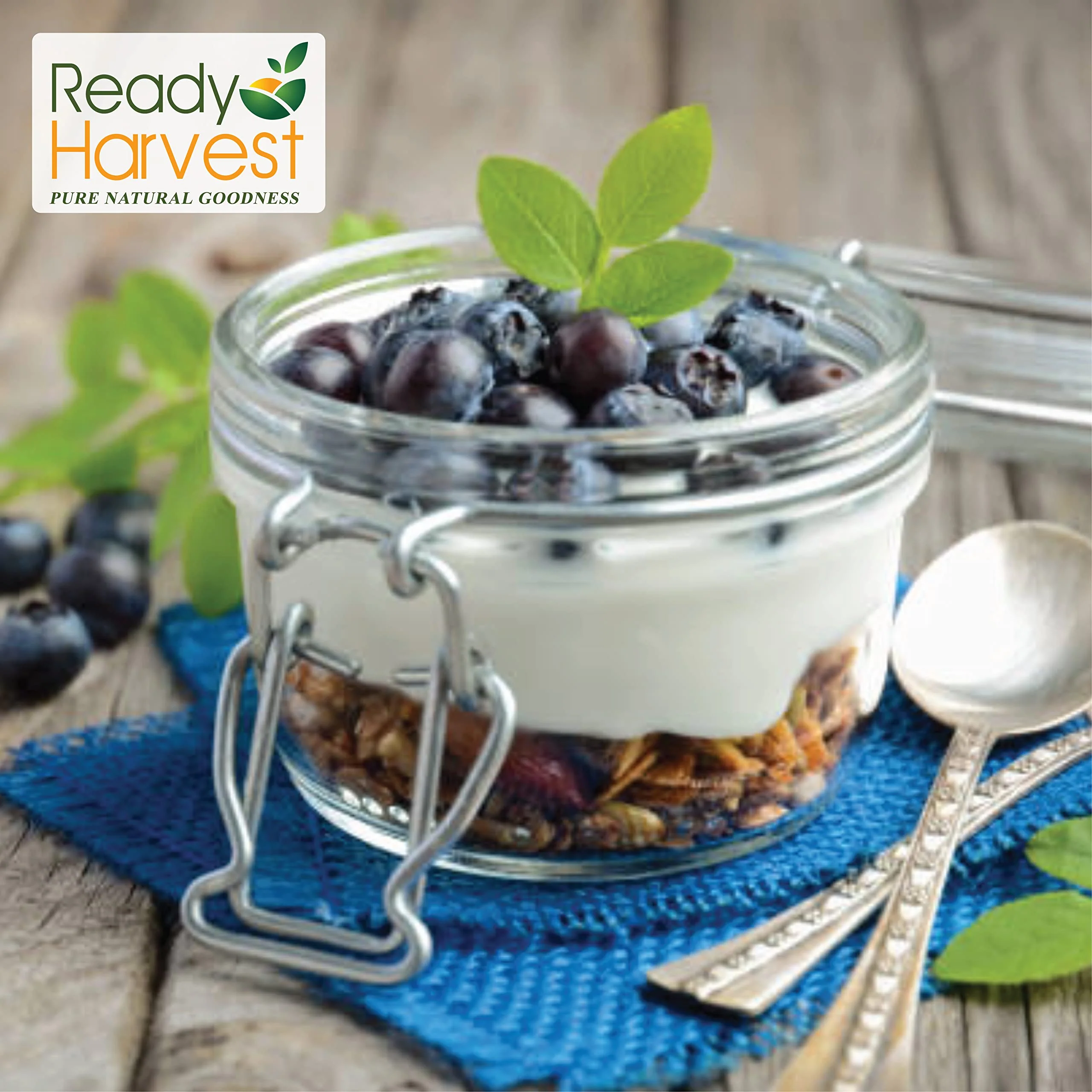 Ready Harvest Freeze-Dried Blueberries - 30 Year Shelf Life - Six #10 Cans - Image 4