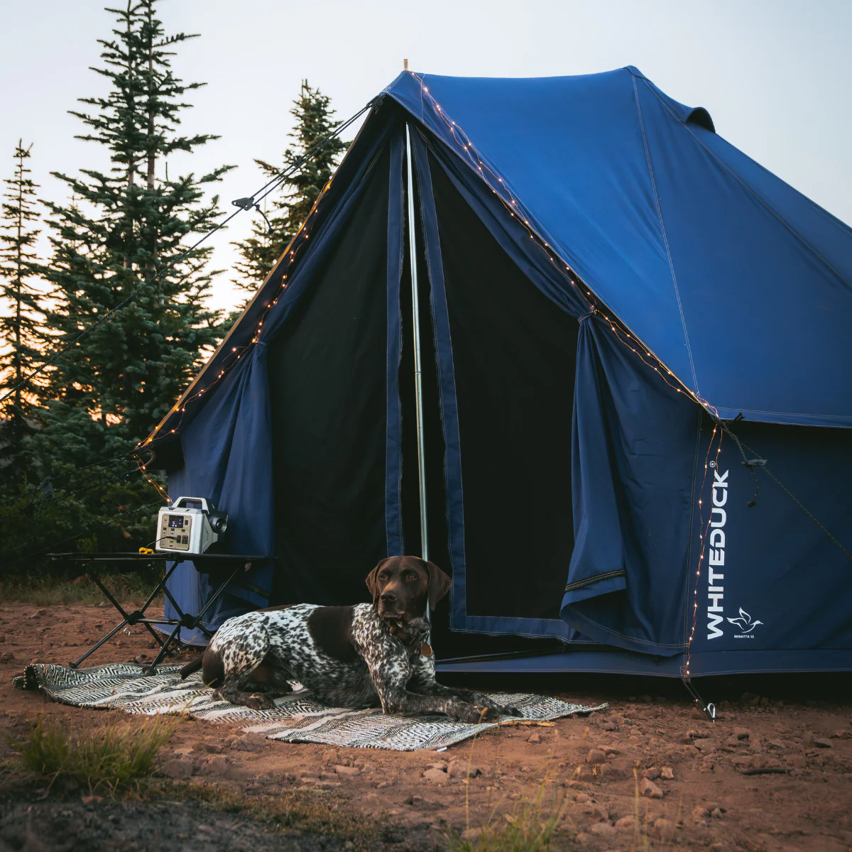 Regatta Bell Tent - Image 31
