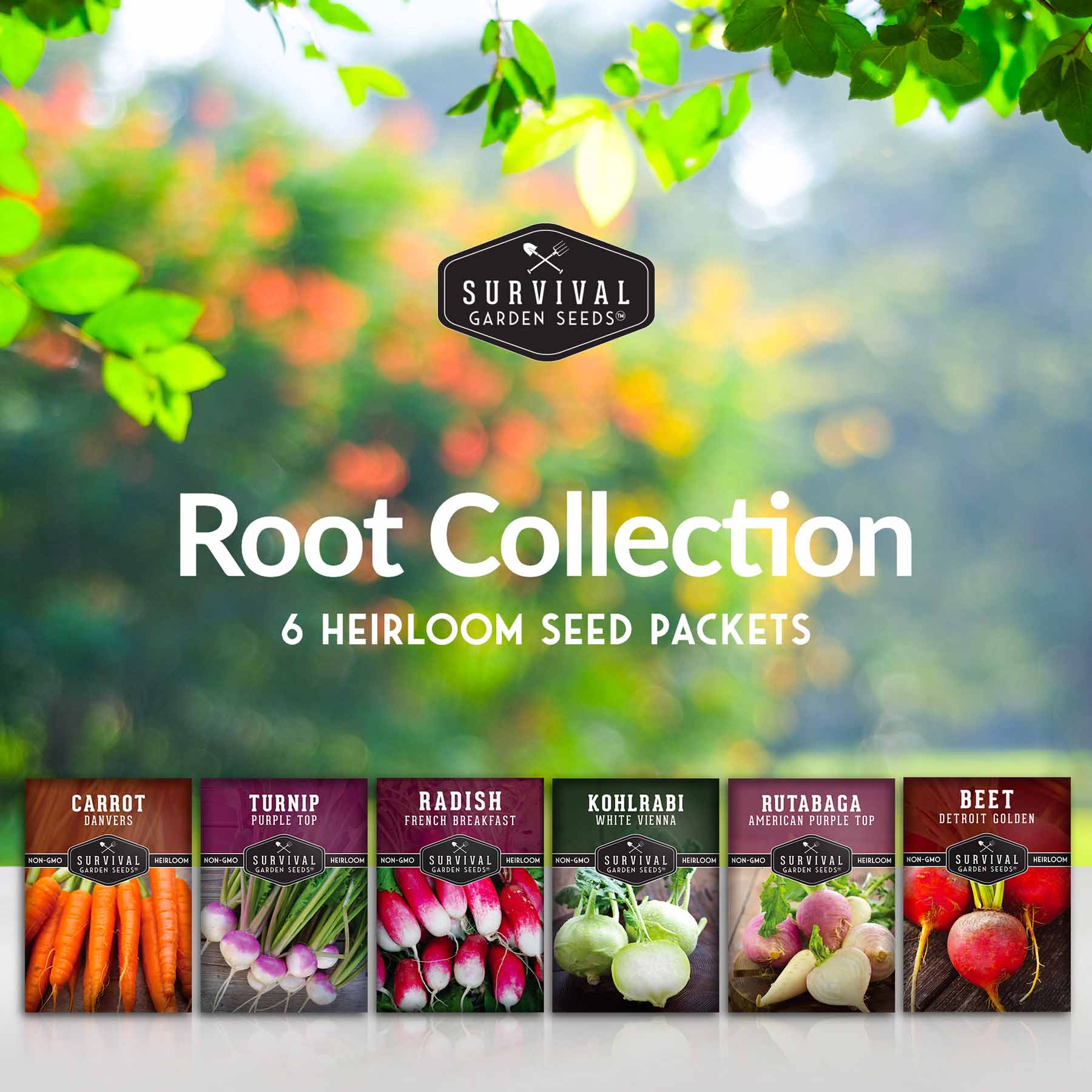 Root Vegetable Seed Collection - Cool Weather Favorites - Image 2