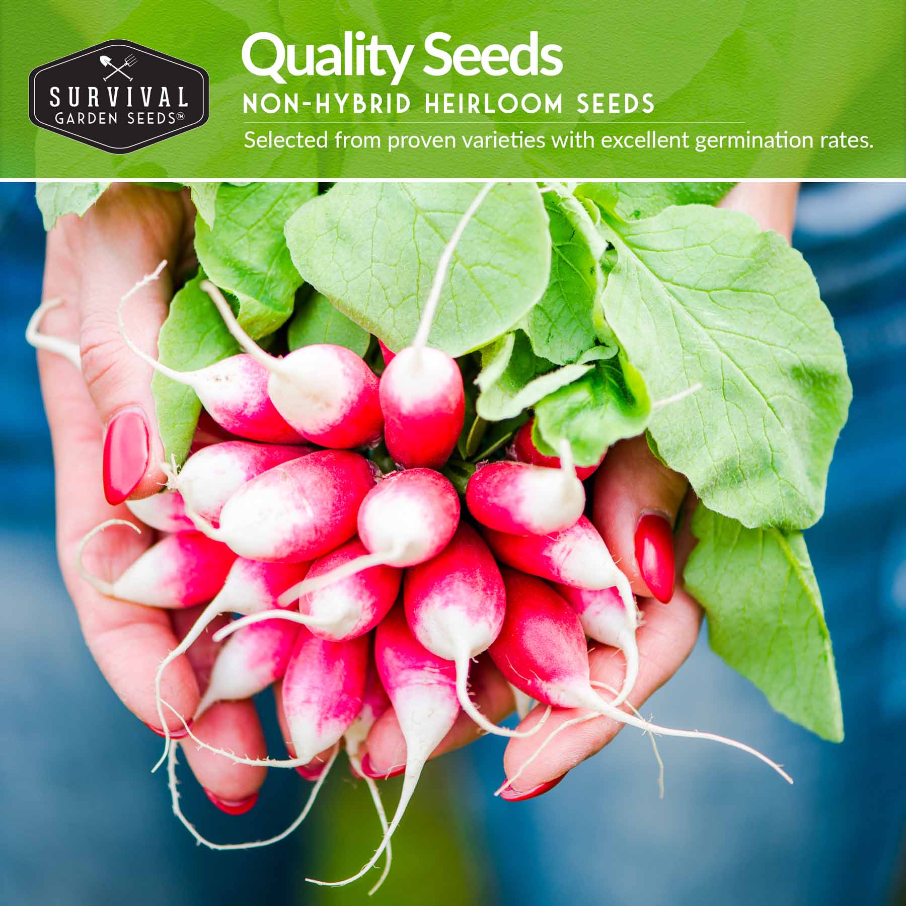 Root Vegetable Seed Collection - Cool Weather Favorites - Image 3