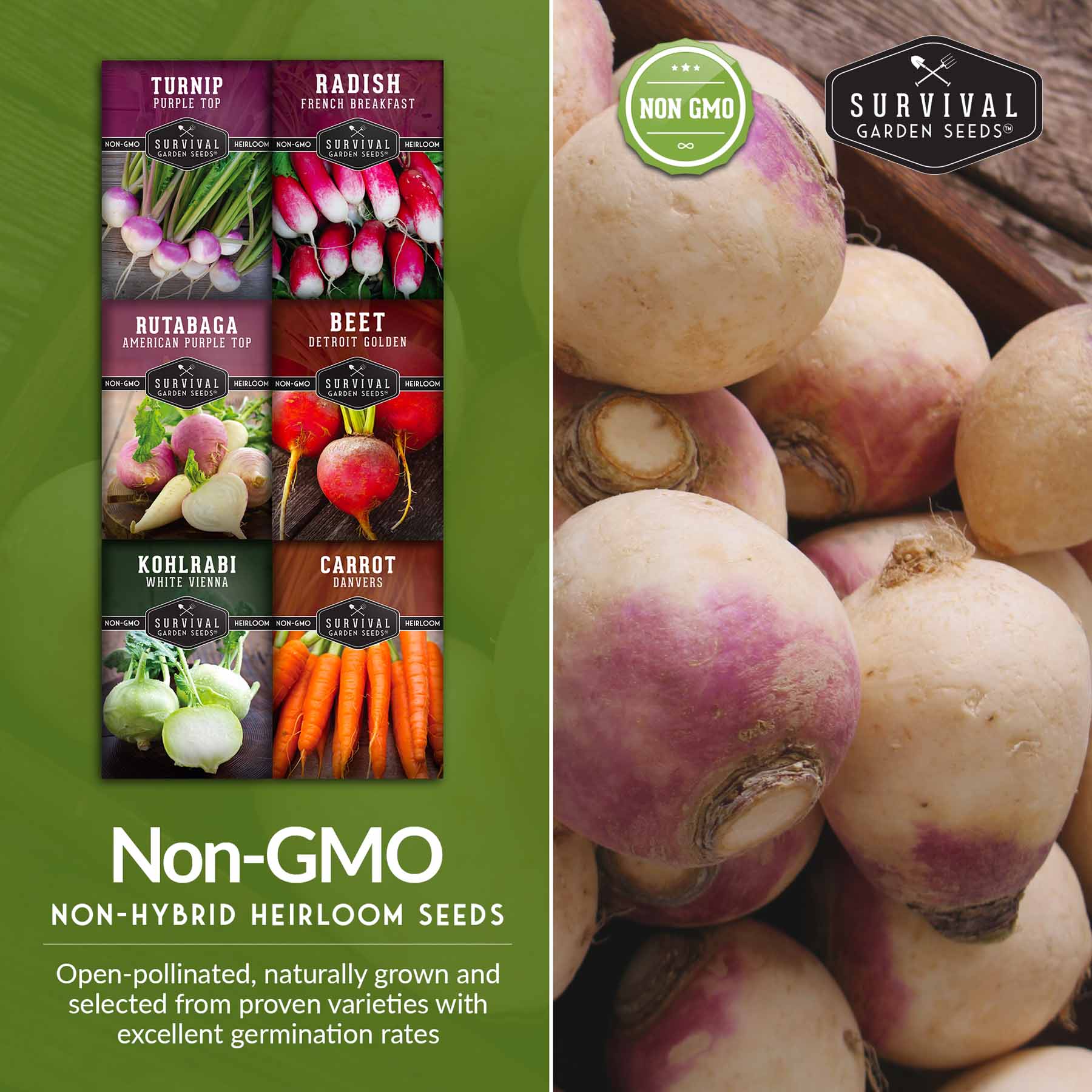 Root Vegetable Seed Collection - Cool Weather Favorites - Image 5
