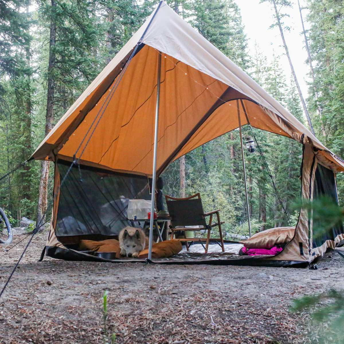 Rover Scout Tent - Image 4