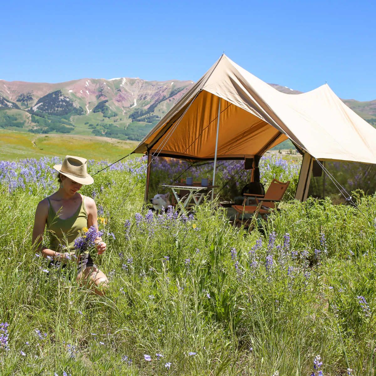 Rover Scout Tent 8' x 13' - Image 13