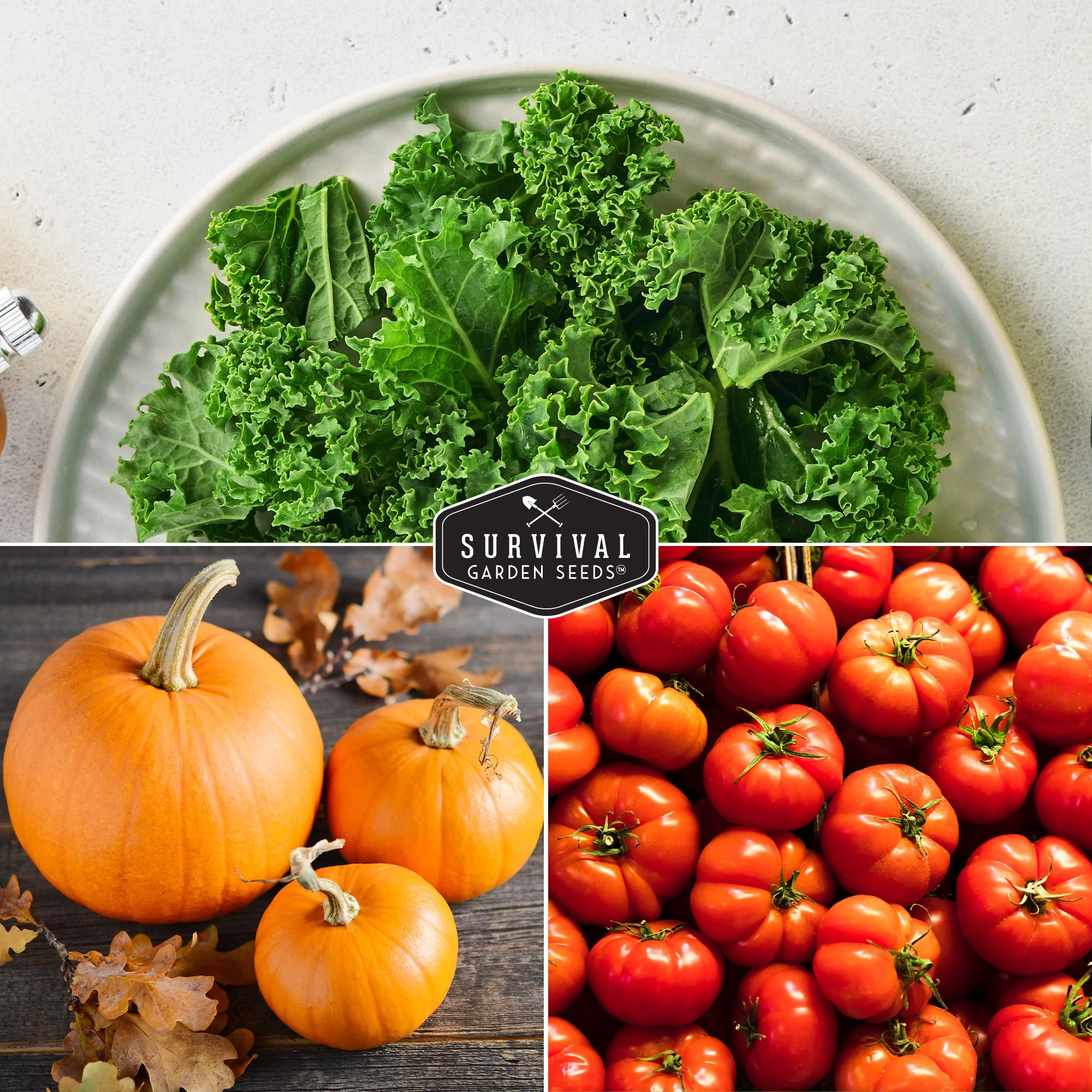 Starter Kit Seed Vault - 20 Delicious Varieties of Vegetables - Image 5