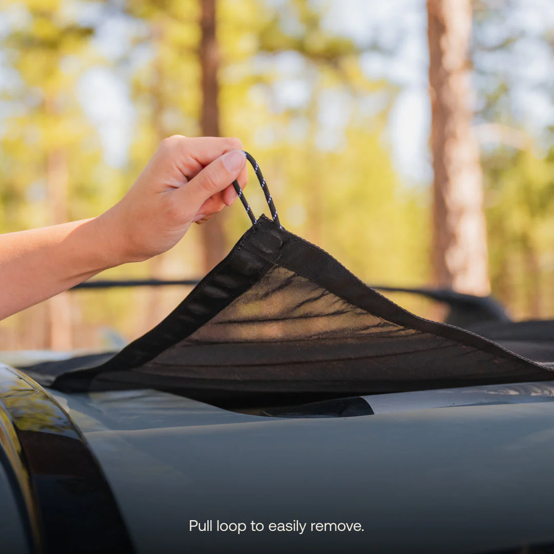 Sunroof Window Screen - Image 5