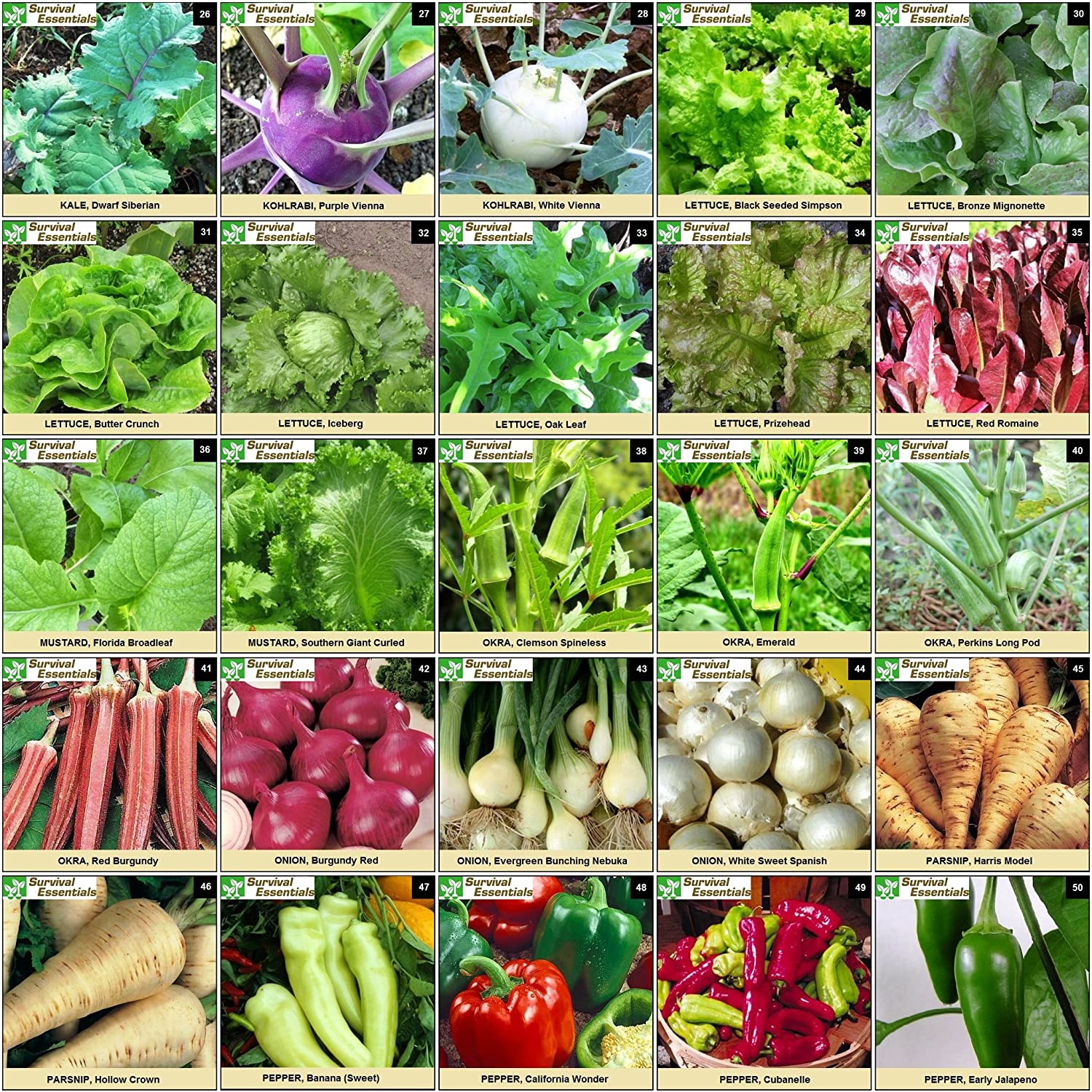 Survival Essentials Seeds Premium Heirloom Seeds Box - 100 Varieties - Over 17,000 Seeds - Image 3