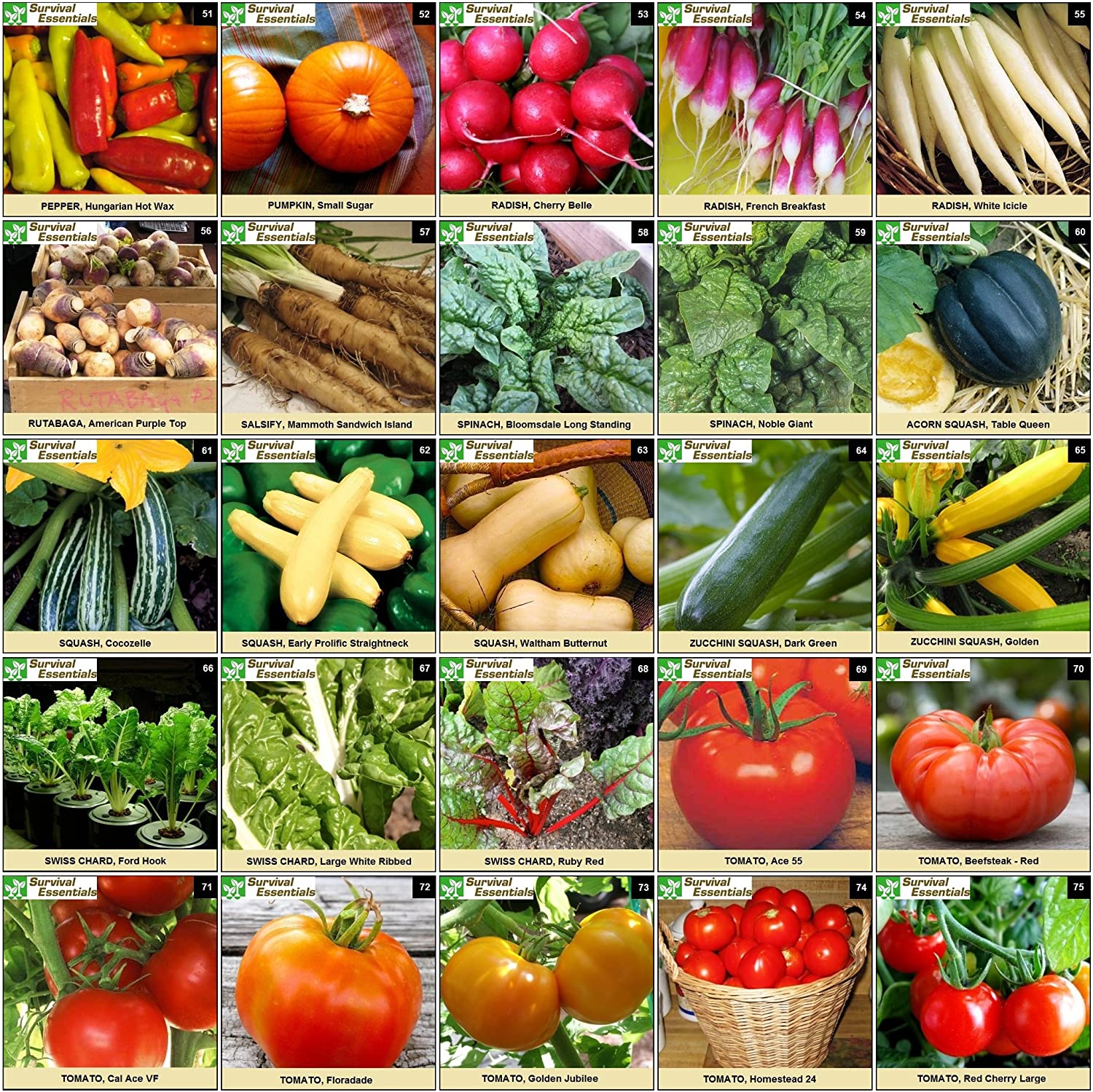 Survival Essentials Seeds Premium Heirloom Seeds Box - 100 Varieties - Over 17,000 Seeds - Image 6