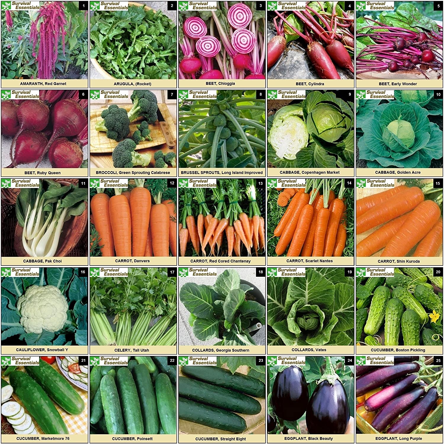 Survival Essentials Seeds Premium Heirloom Seeds Box - 100 Varieties - Over 17,000 Seeds - Image 7