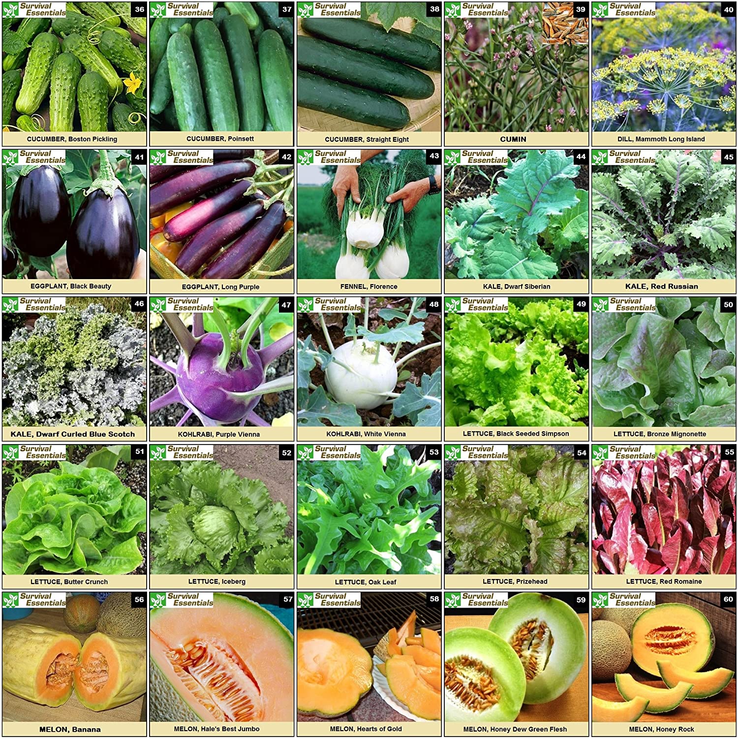 Survival Essentials Seeds Premium Heirloom Seeds Box - 135 Varieties - Over 23,000 Seeds - Image 5