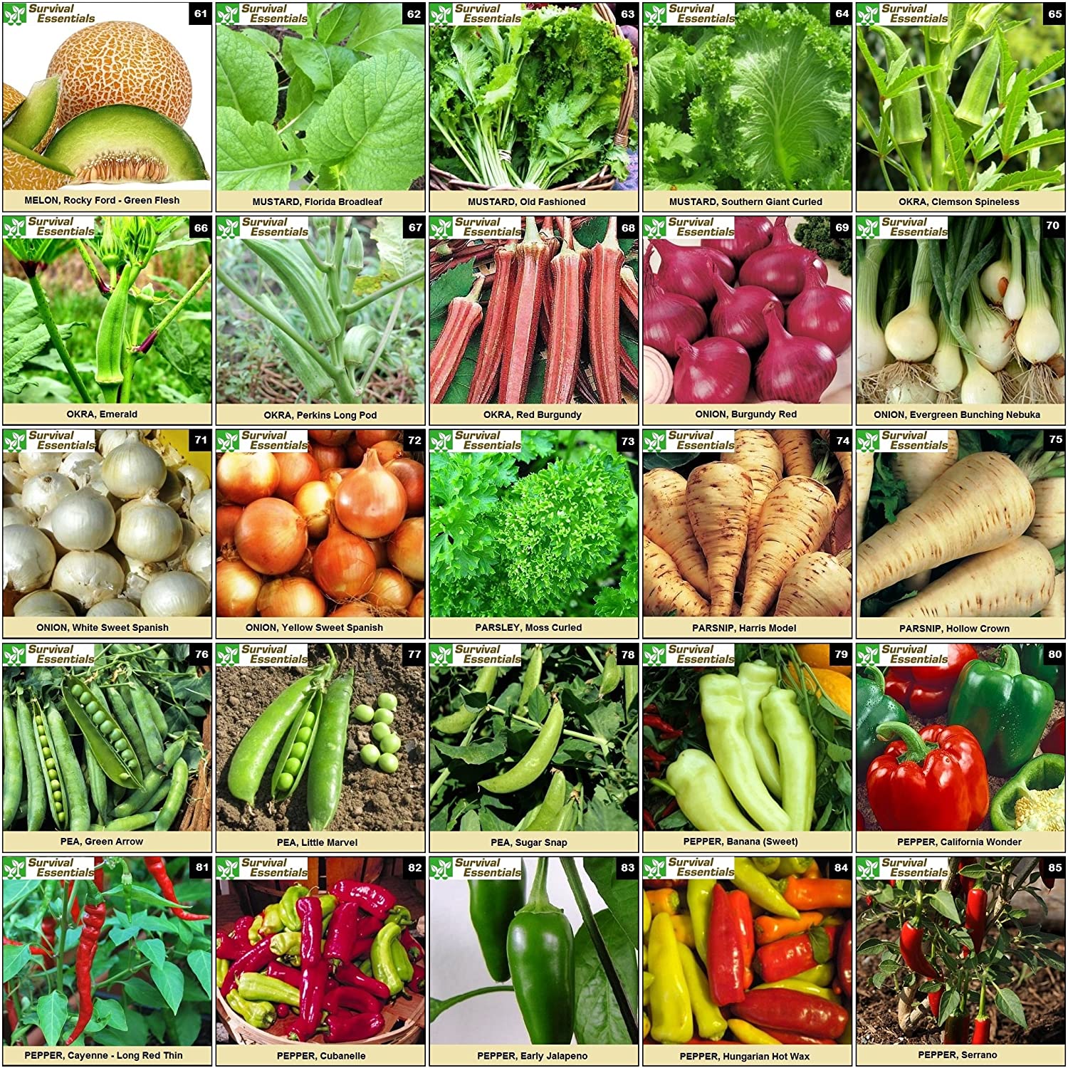 Survival Essentials Seeds Premium Heirloom Seeds Box - 135 Varieties - Over 23,000 Seeds - Image 6