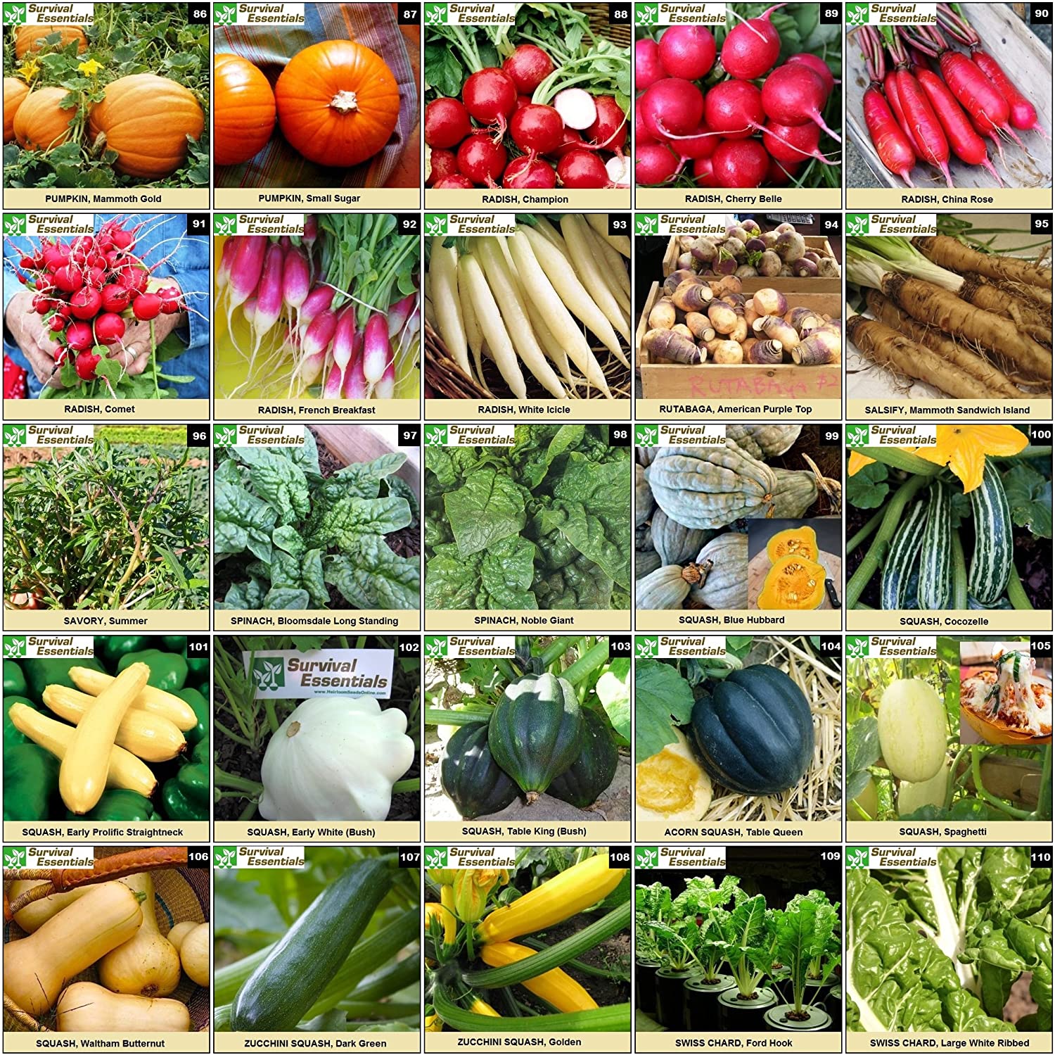 Survival Essentials Seeds Premium Heirloom Seeds Box - 135 Varieties - Over 23,000 Seeds - Image 7