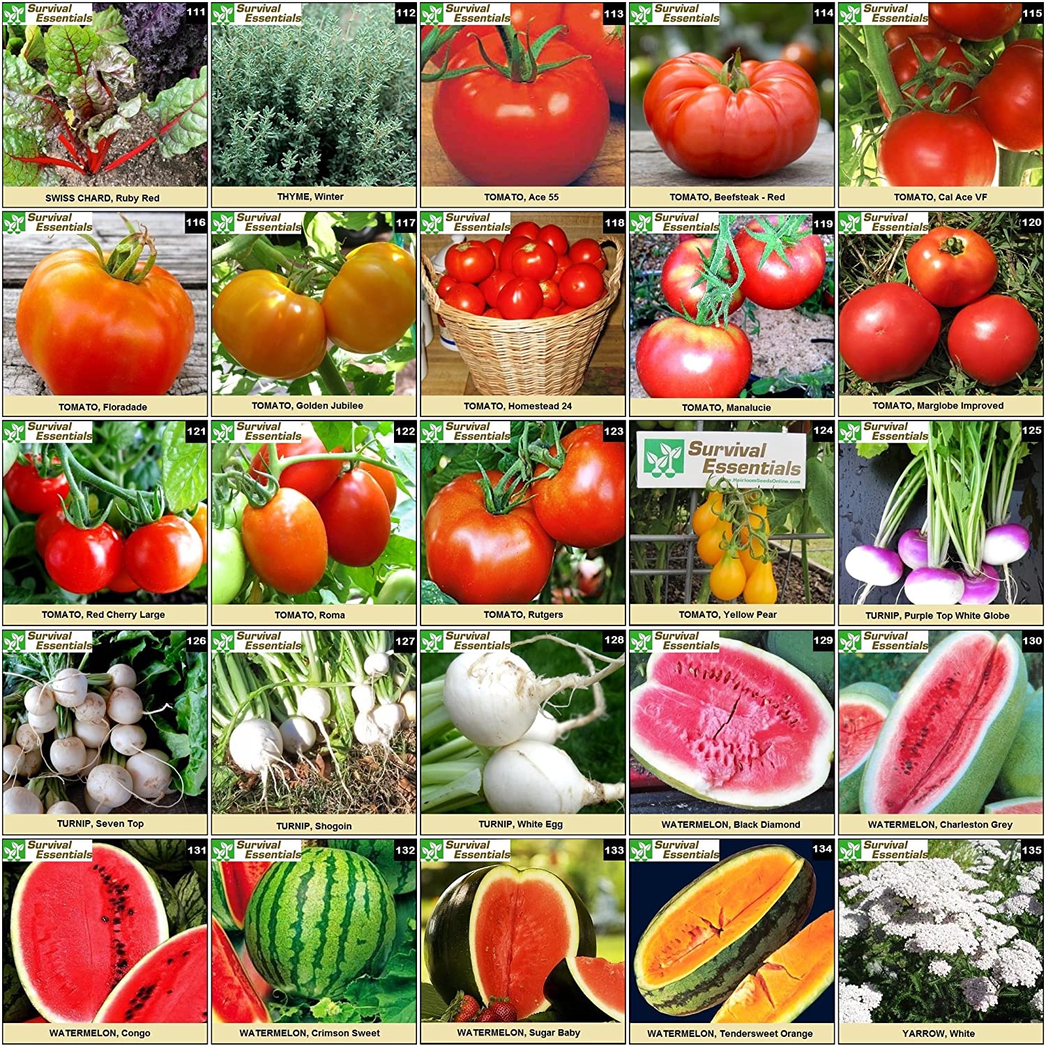 Survival Essentials Seeds Premium Heirloom Seeds Box - 135 Varieties - Over 23,000 Seeds - Image 8