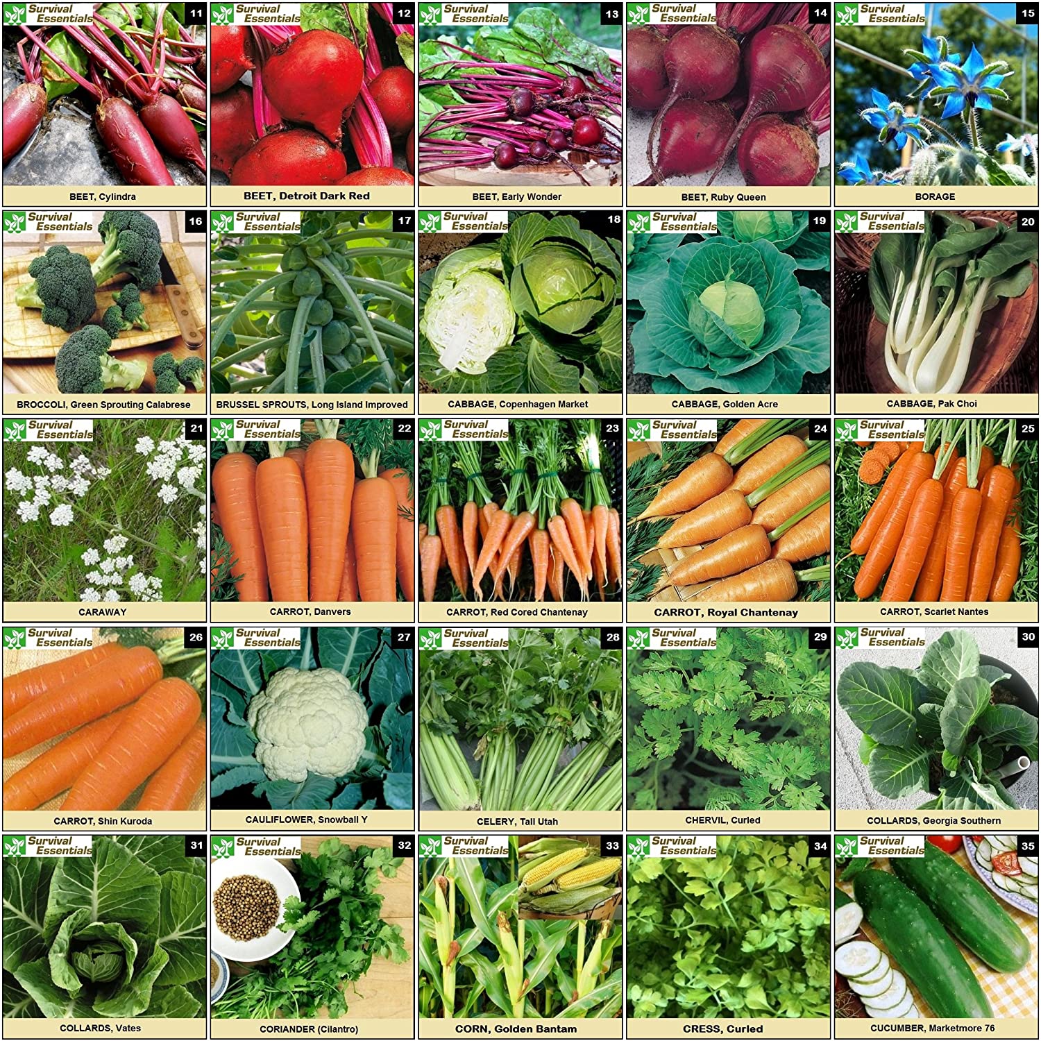 Survival Essentials Seeds Premium Heirloom Seeds Box - 135 Varieties - Over 23,000 Seeds - Image 9