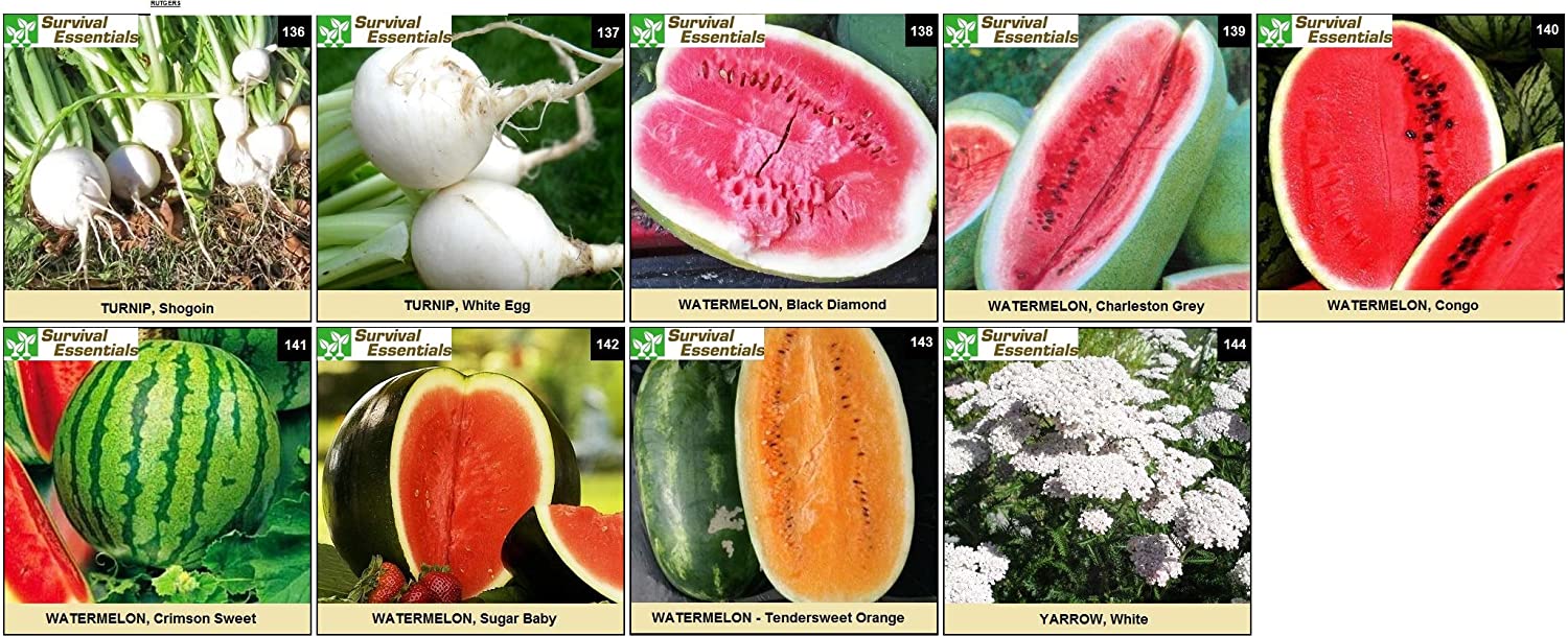 Survival Essentials Seeds Premium Heirloom Seeds Vault - 144 Varieties - Over 23,000 Seeds - Image 4