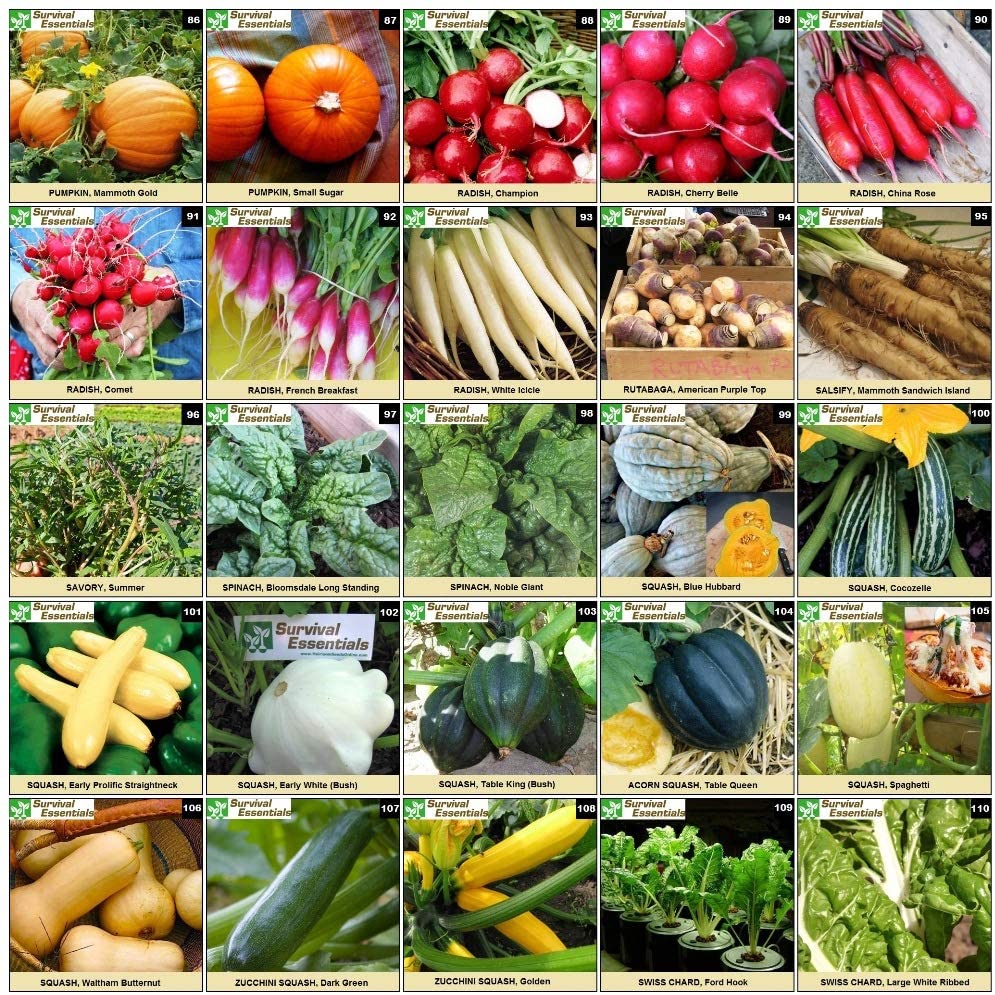 Survival Essentials Seeds Premium Heirloom Seeds Vault - 144 Varieties - Over 23,000 Seeds - Image 5