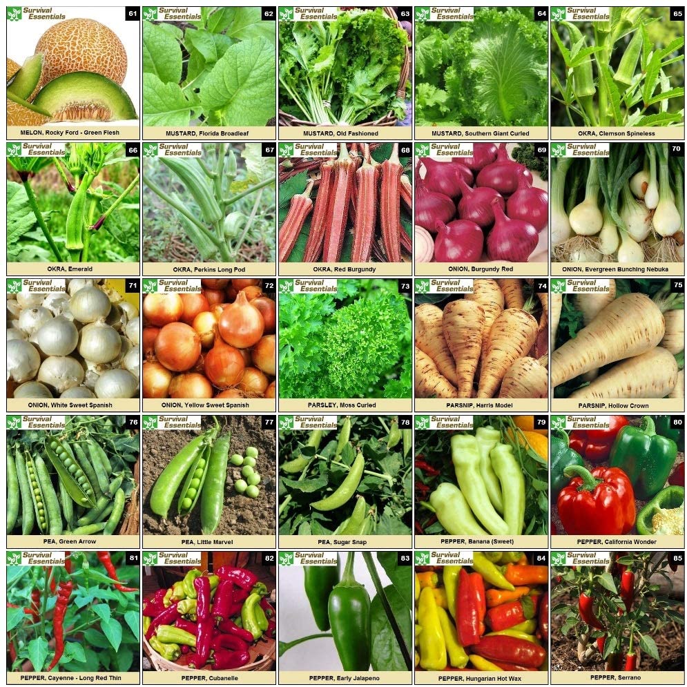 Survival Essentials Seeds Premium Heirloom Seeds Vault - 144 Varieties - Over 23,000 Seeds - Image 7