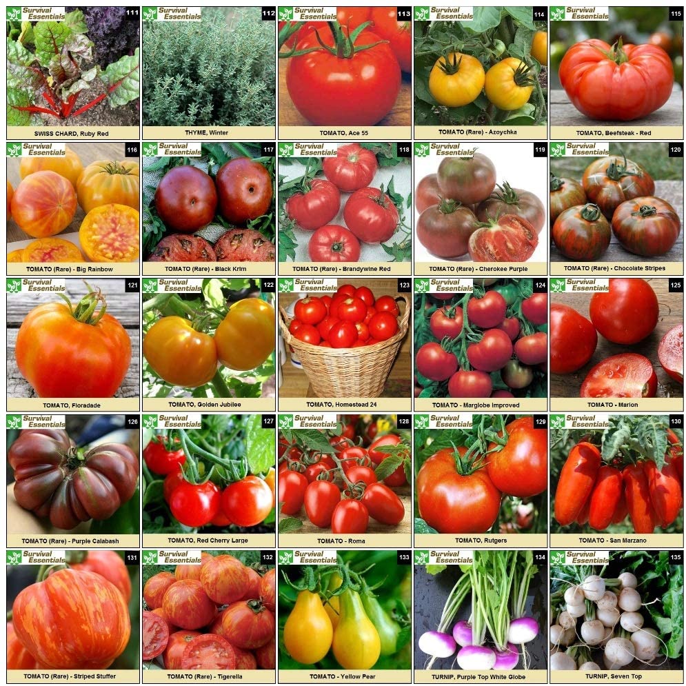 Survival Essentials Seeds Premium Heirloom Seeds Vault - 144 Varieties - Over 23,000 Seeds - Image 9