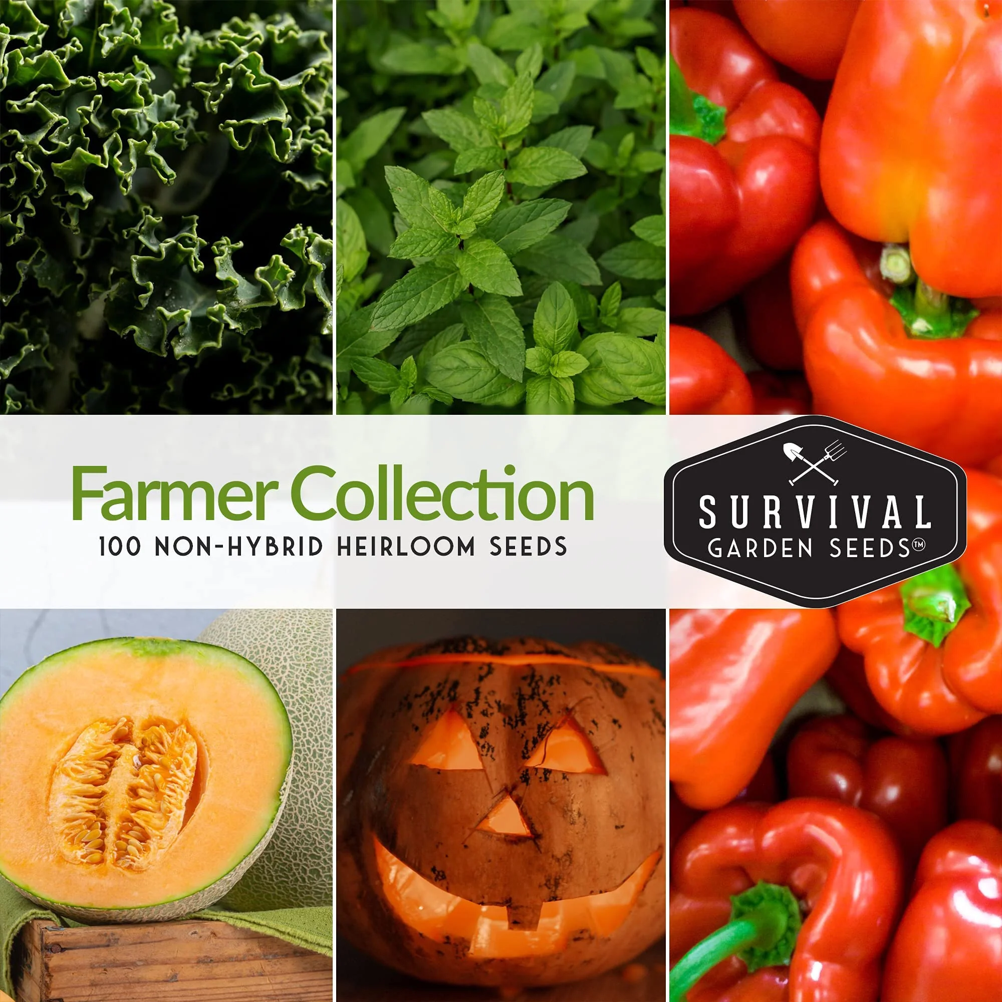 Survival Garden Seeds Farmer Seed Vault - 100 Seed Varieties - Image 6