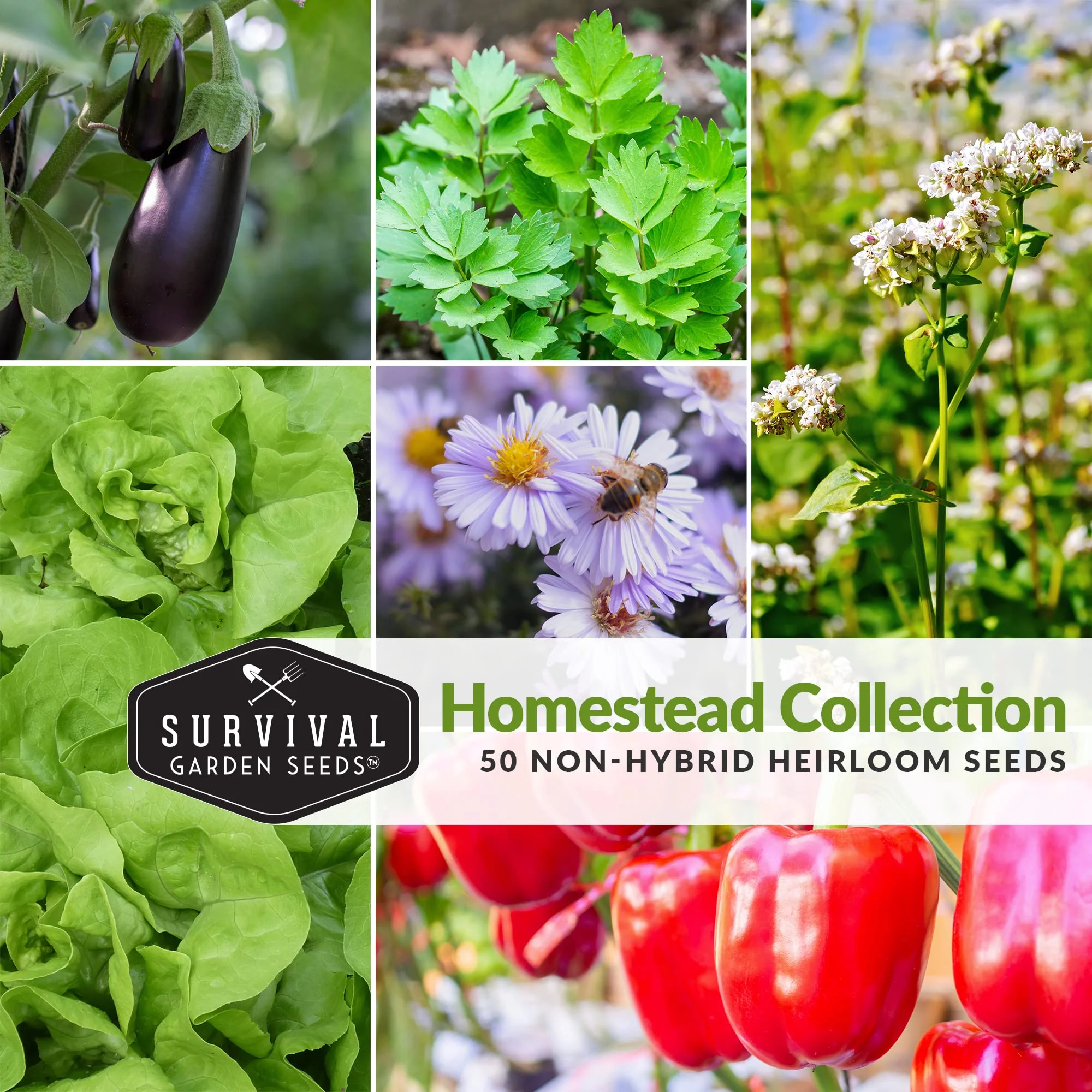 Survival Garden Seeds Homesteader 50 Heirloom Seed Packets (Non-GMO) - Image 4
