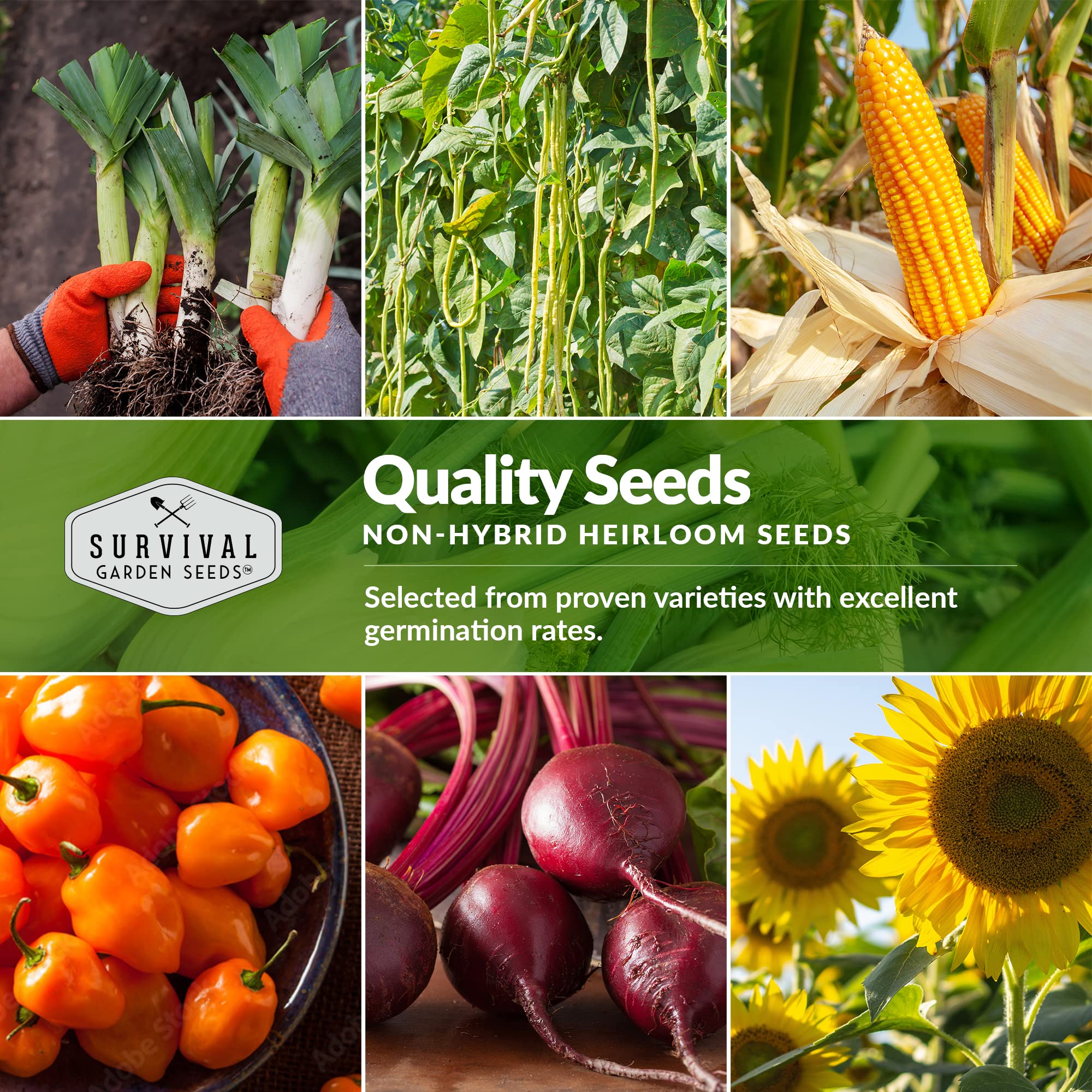 Survival Garden Seeds Homesteader 50 Heirloom Seed Packets (Non-GMO) - Image 5