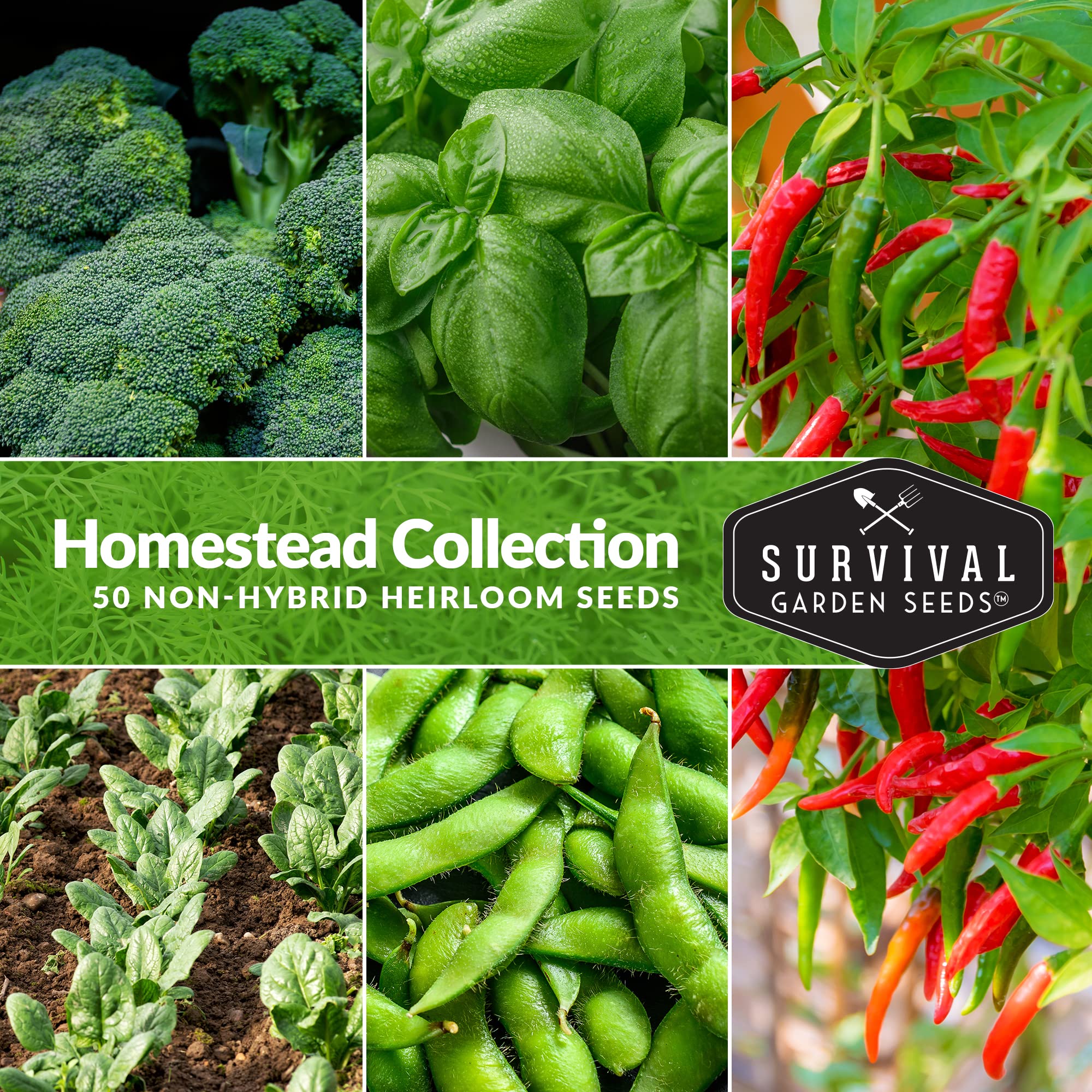 Survival Garden Seeds Homesteader 50 Heirloom Seed Packets (Non-GMO) - Image 6