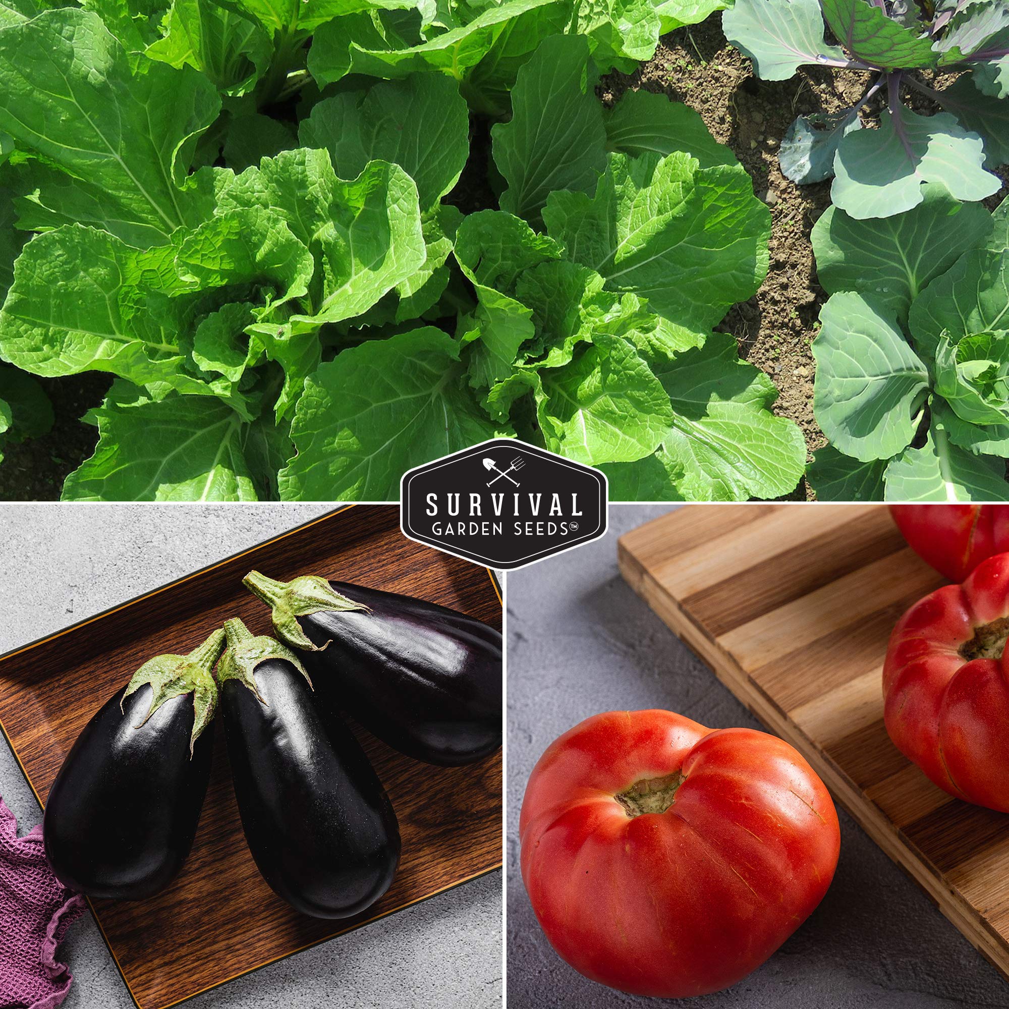 Survival Garden Seeds Vegetable Garden Collection 15 Heirloom Vegetables Seed Varieties - Image 5