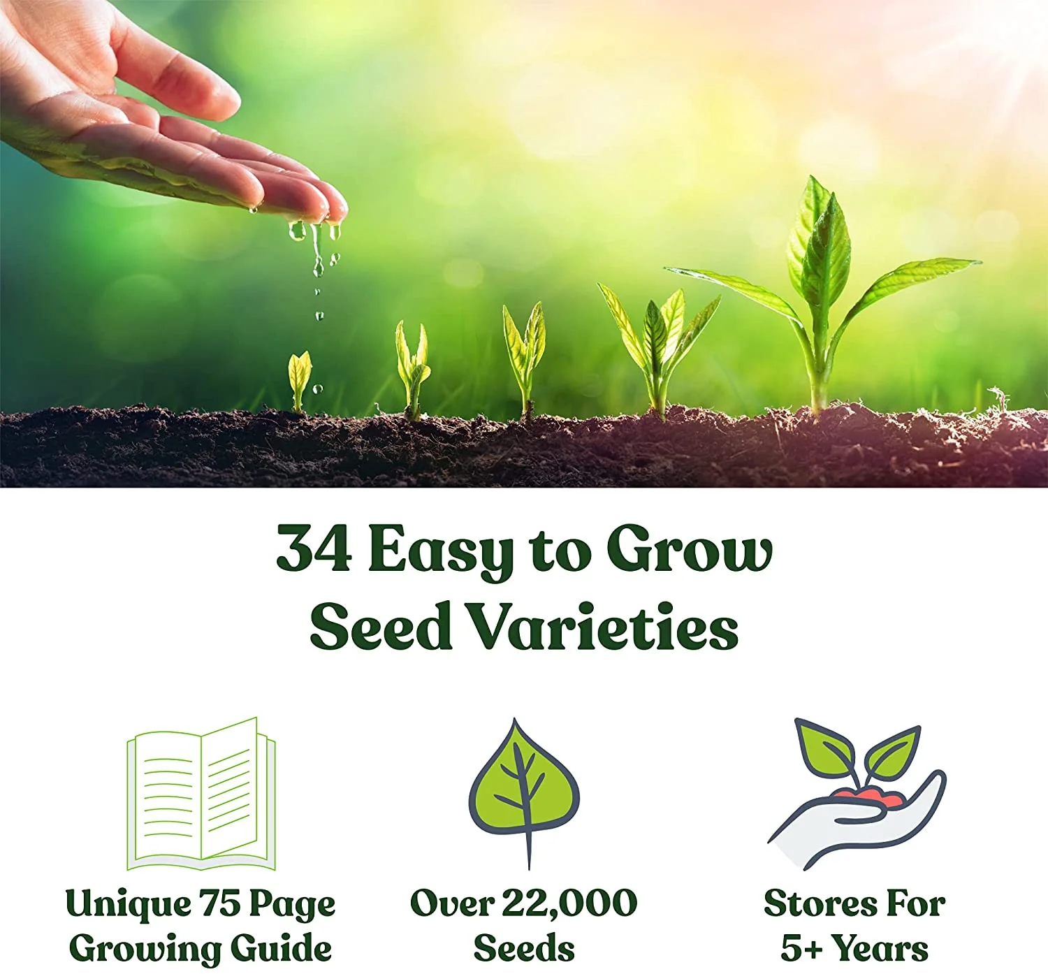 Sustainable Seed Company Bugout Seed Bag - 34 Varieties - Over 22,000 Seeds - Image 3