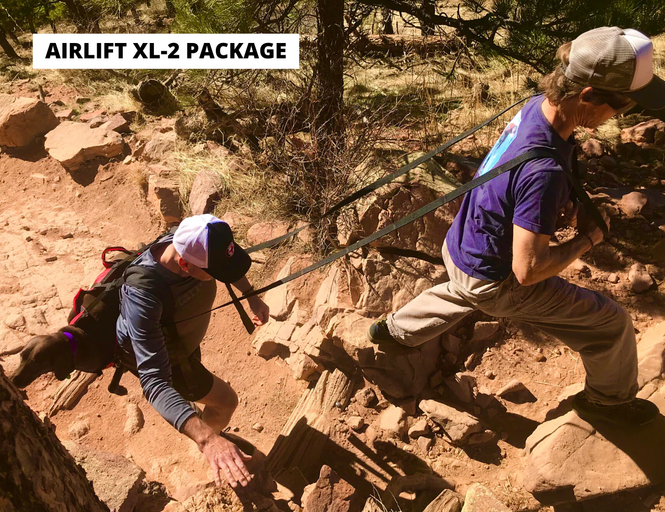 The Airlift - K9 Rescue Sling - Image 13