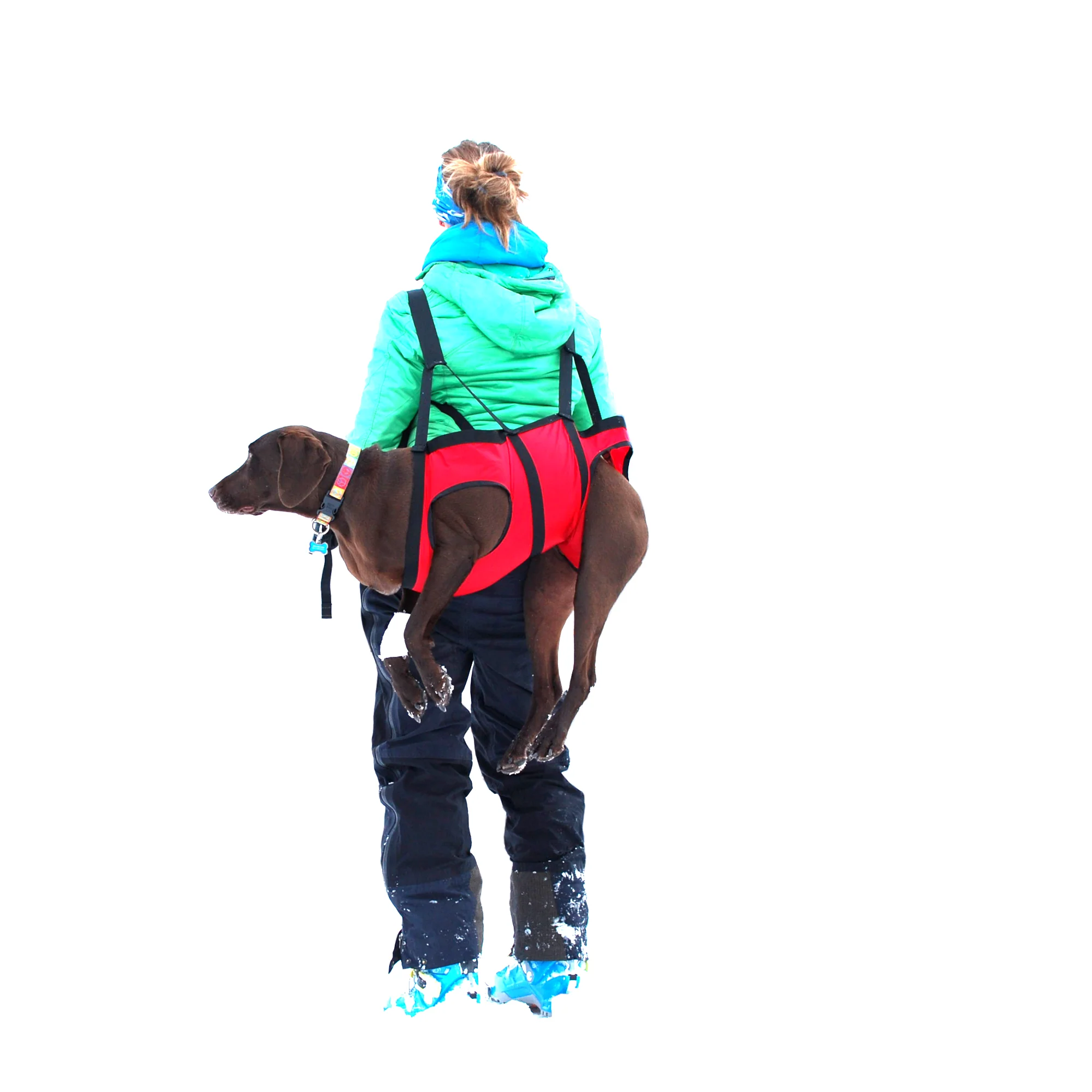 The Airlift - K9 Rescue Sling - Image 16