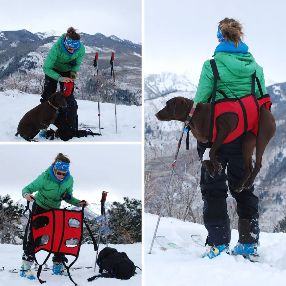 The Airlift - K9 Rescue Sling - Image 2