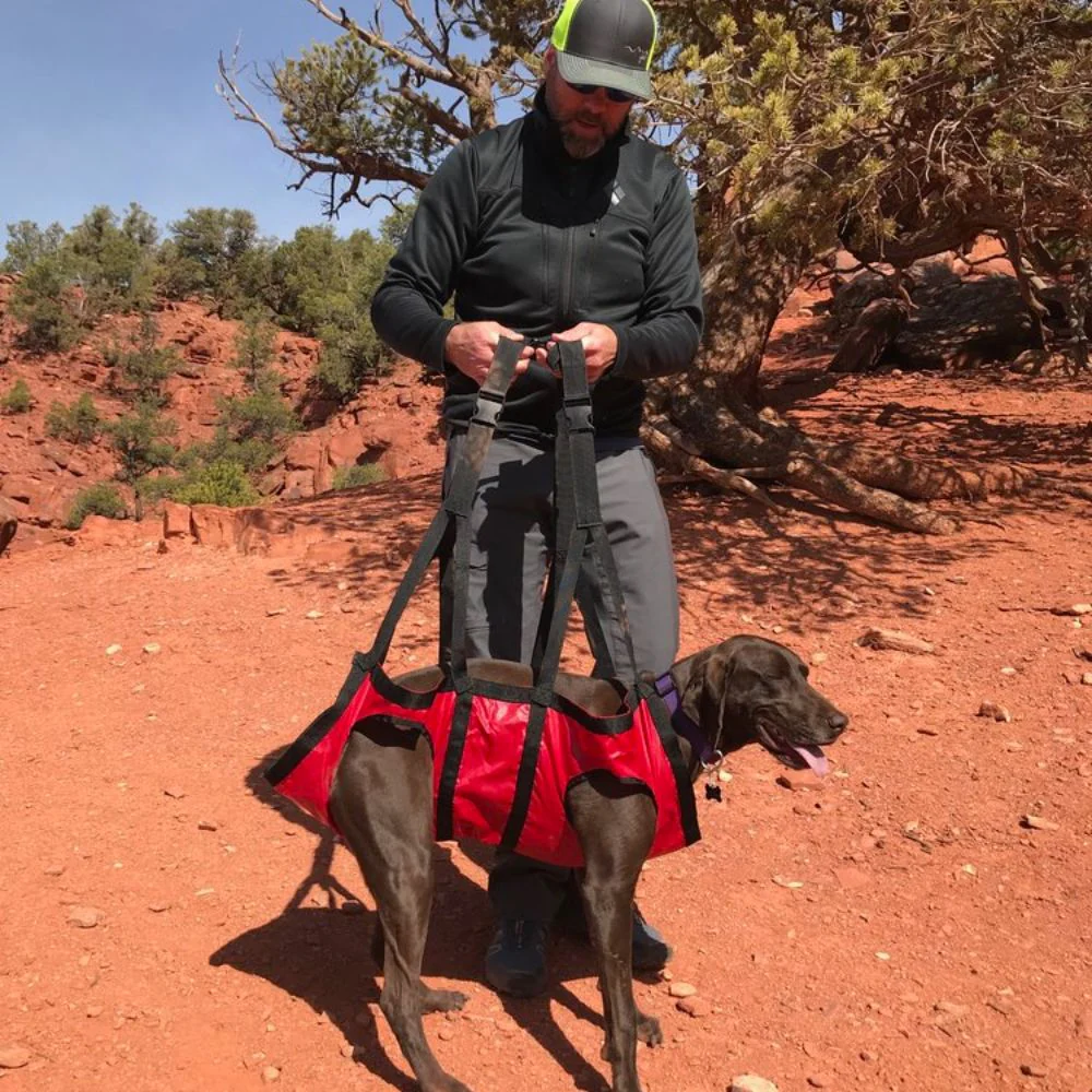 The Airlift - K9 Rescue Sling - Image 7