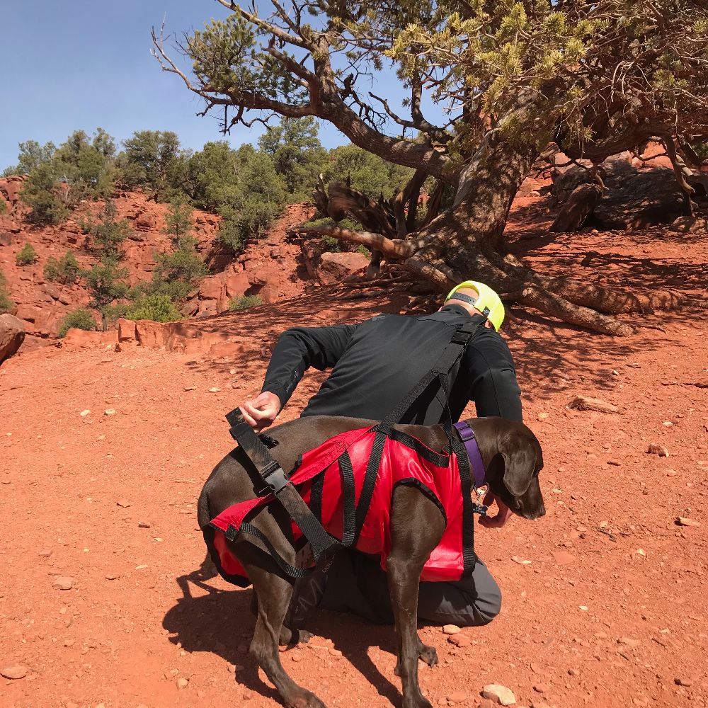 The Airlift - K9 Rescue Sling - Image 8