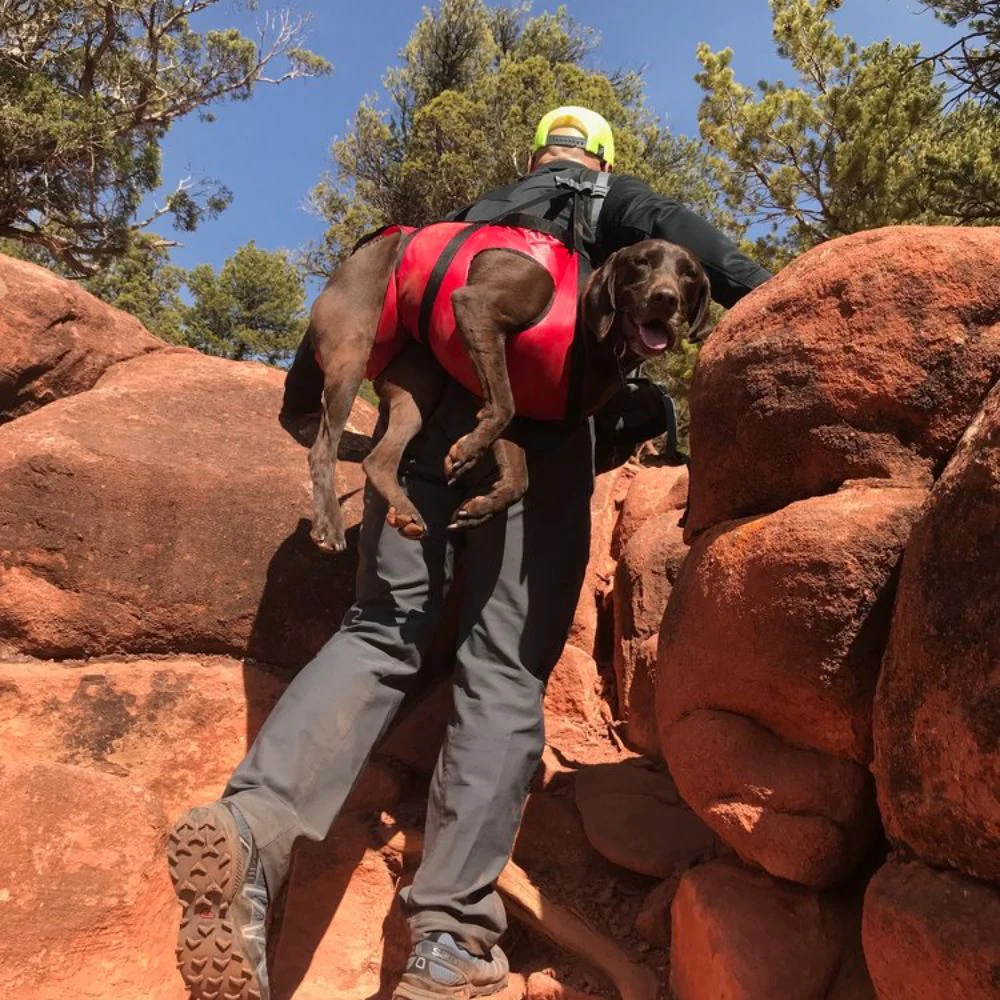 The Airlift - K9 Rescue Sling - Image 9